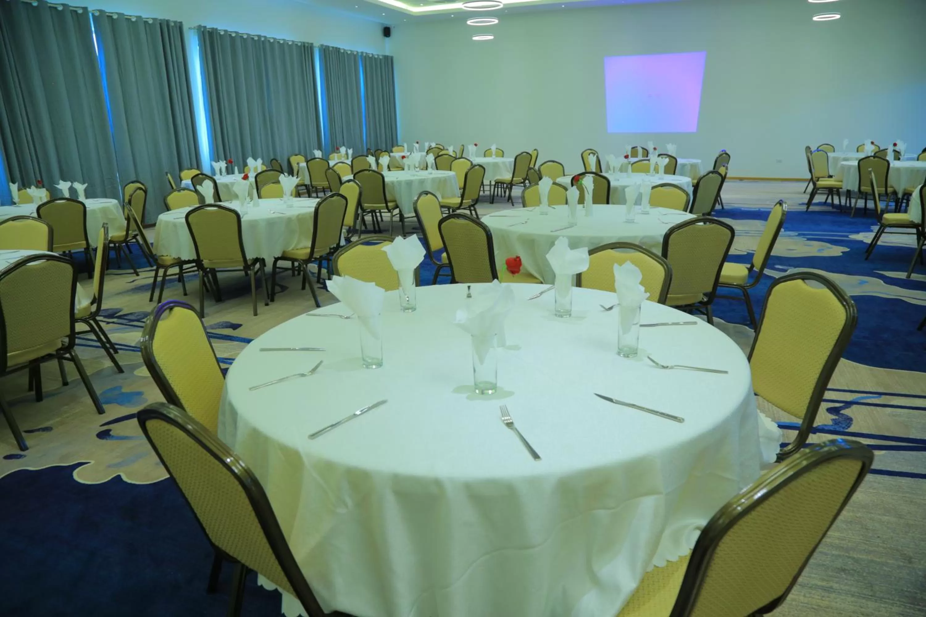 Meeting/conference room in Check Inn Hotel Addis Ababa