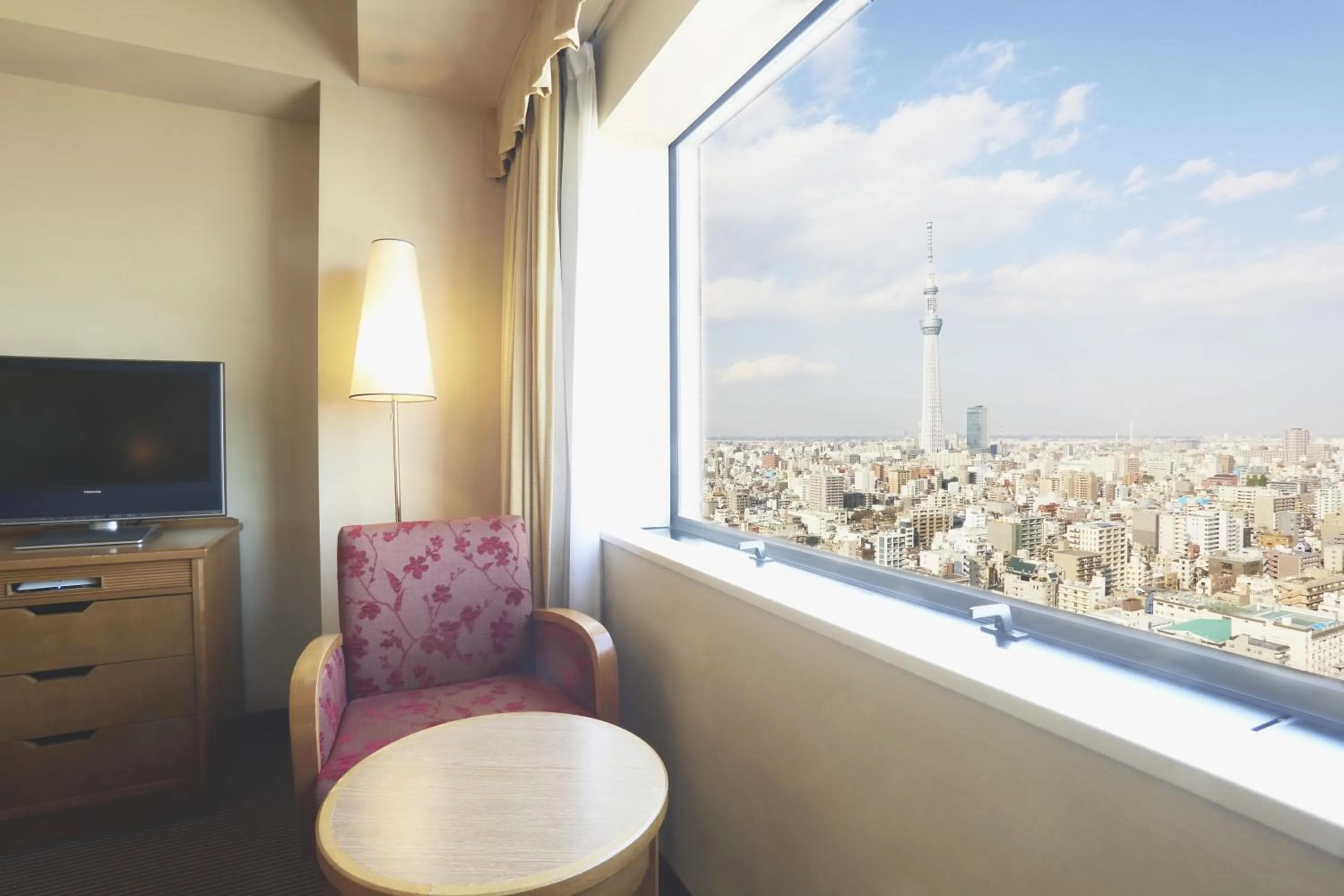 View (from property/room) in Dai-ichi Hotel Ryogoku