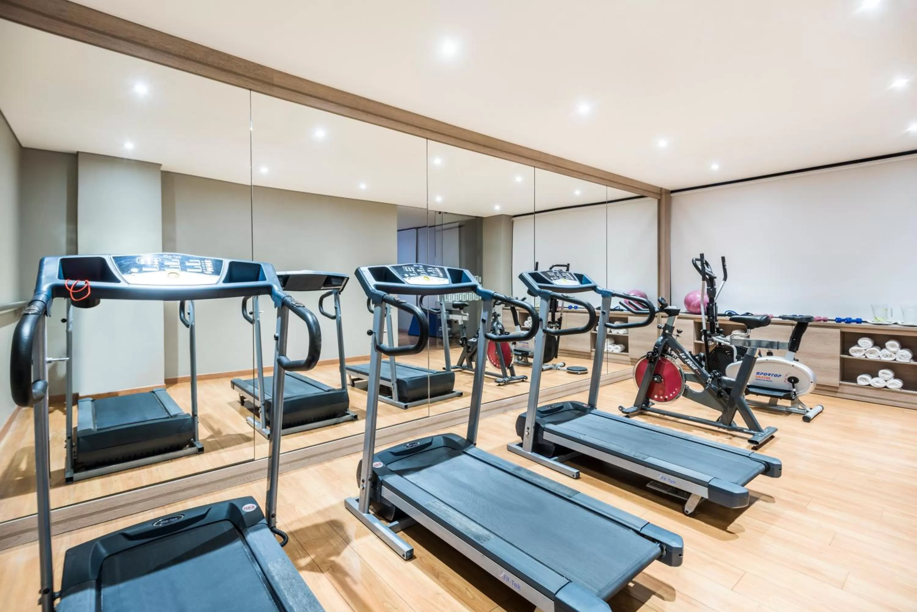 Fitness centre/facilities in Hotel Rosales Plaza