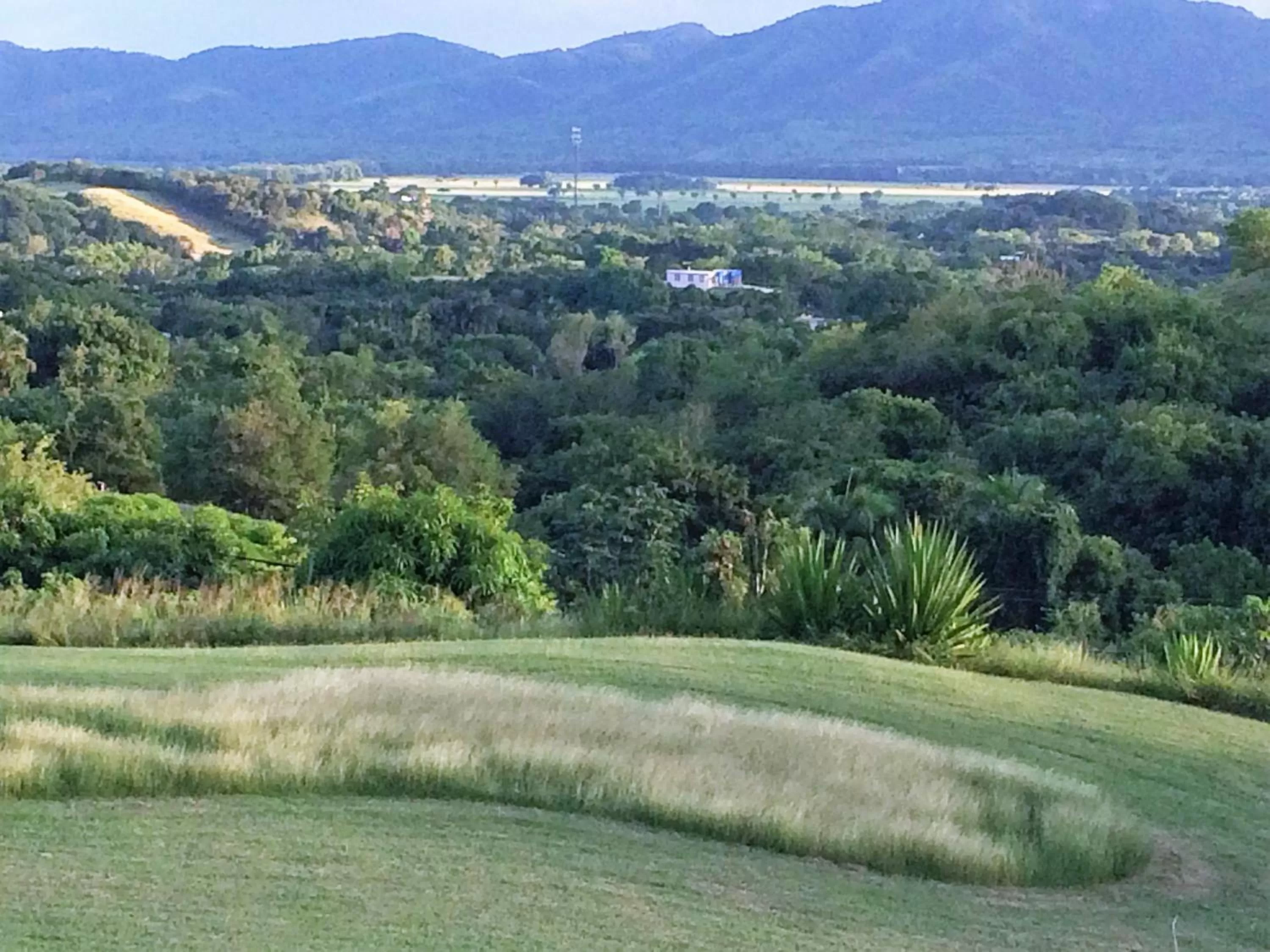 Bird's-eye View in 4 Casitas