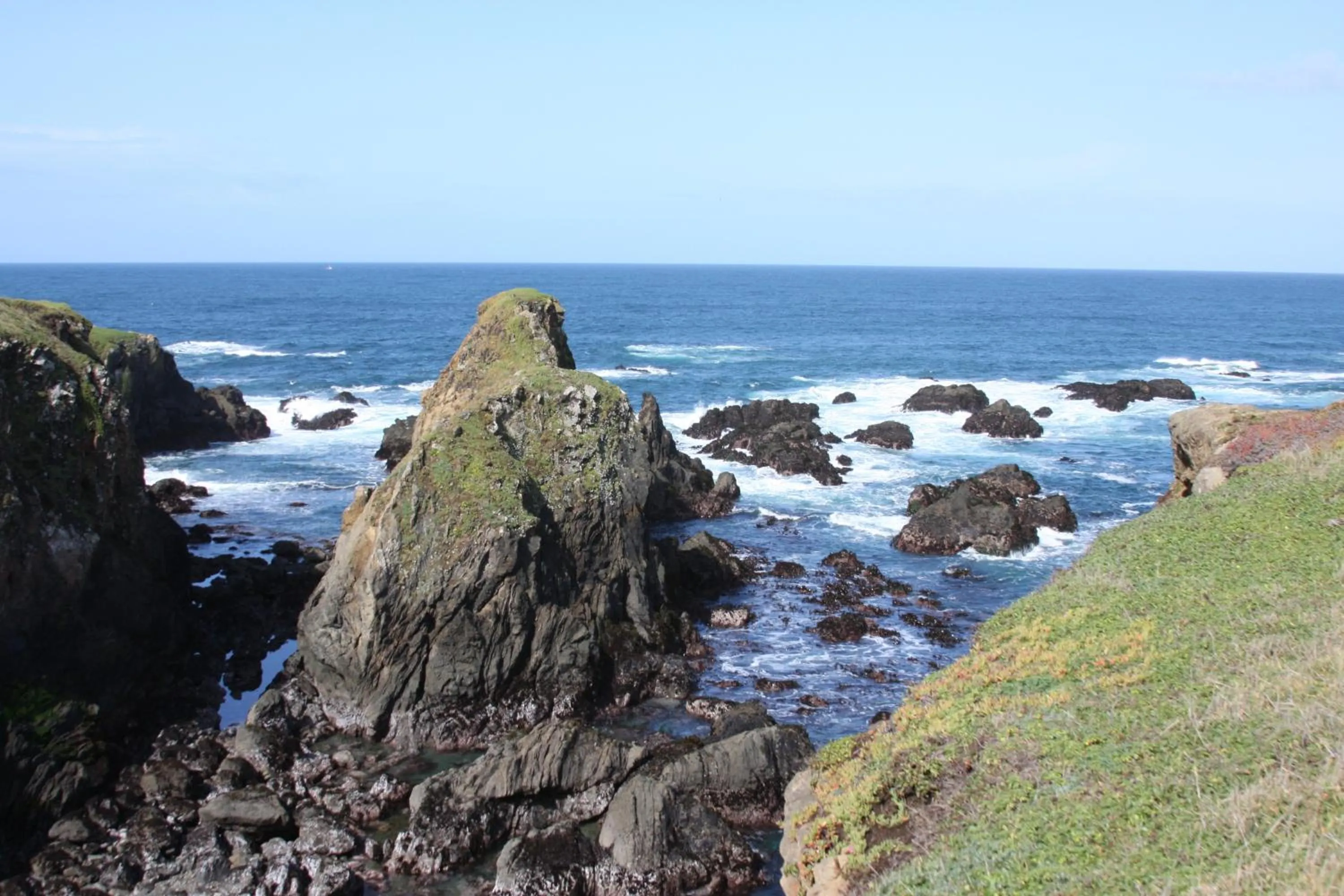 Area and facilities in Emerald Dolphin Inn & Mini Golf