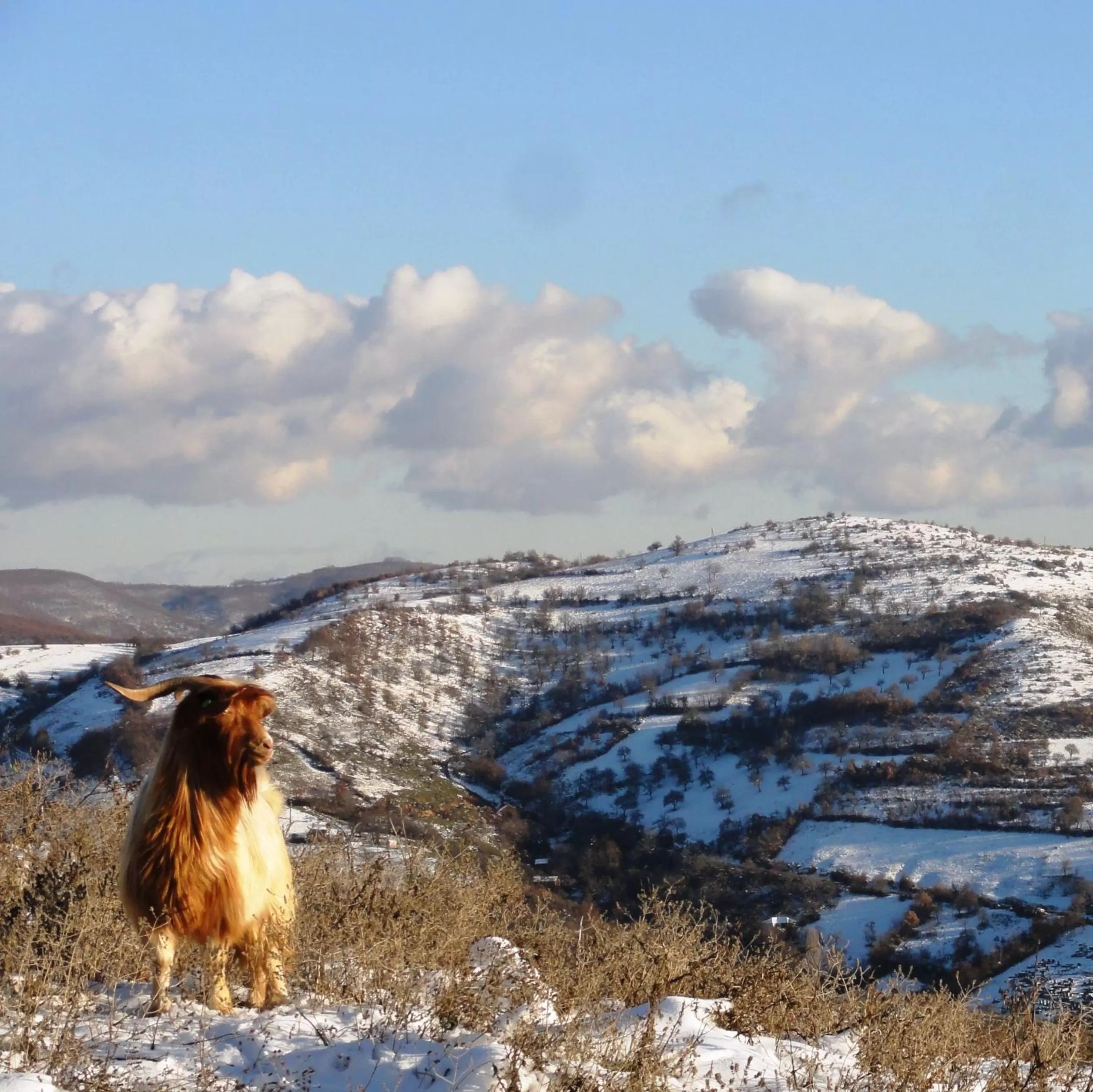 Hiking in Hotel Gracanica