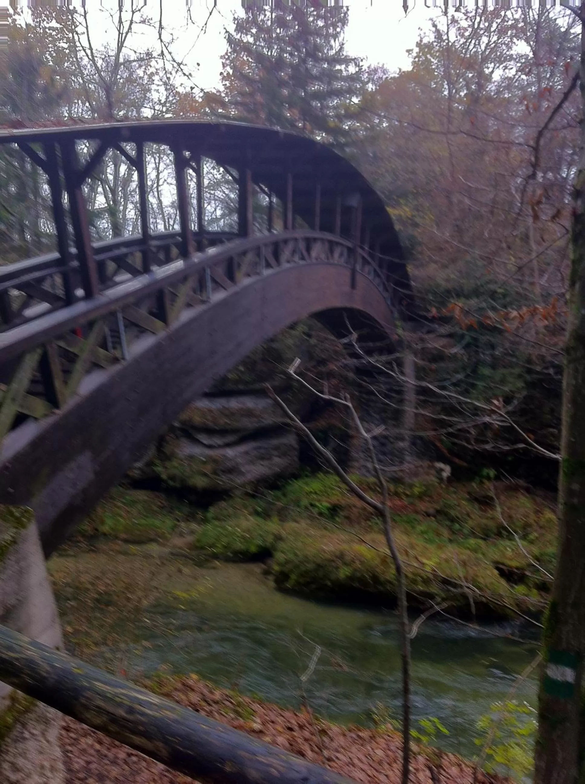 Natural landscape in Gasthof Teufl