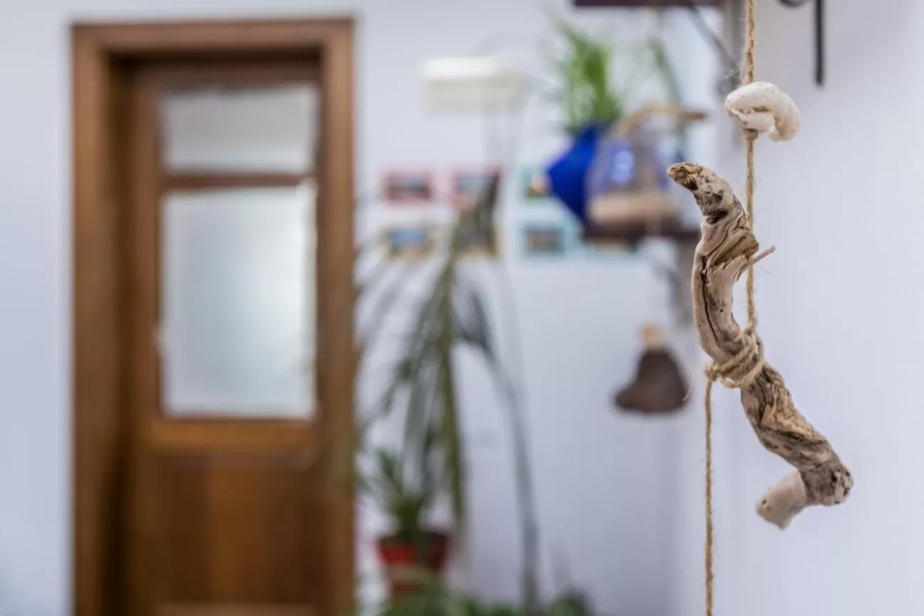 Decorative detail in Villa El Jable Lanzarote