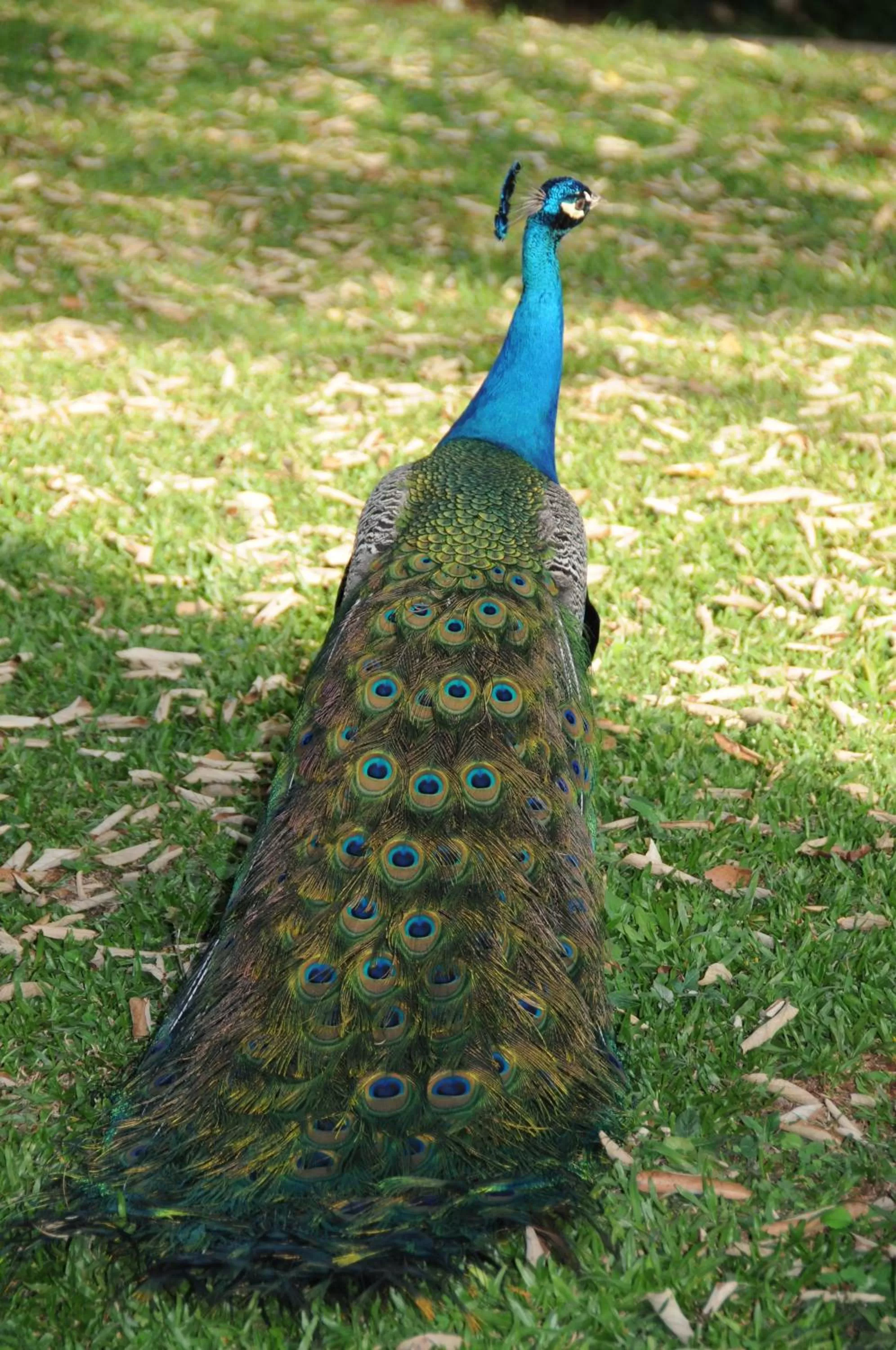 Other in Grand Carimã Resort & Convention Center