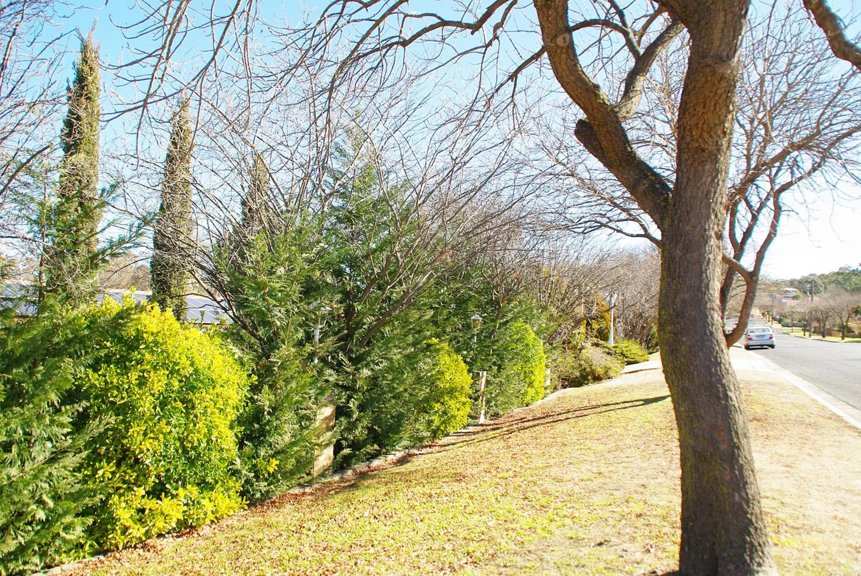 Day in White Lanterns Motel