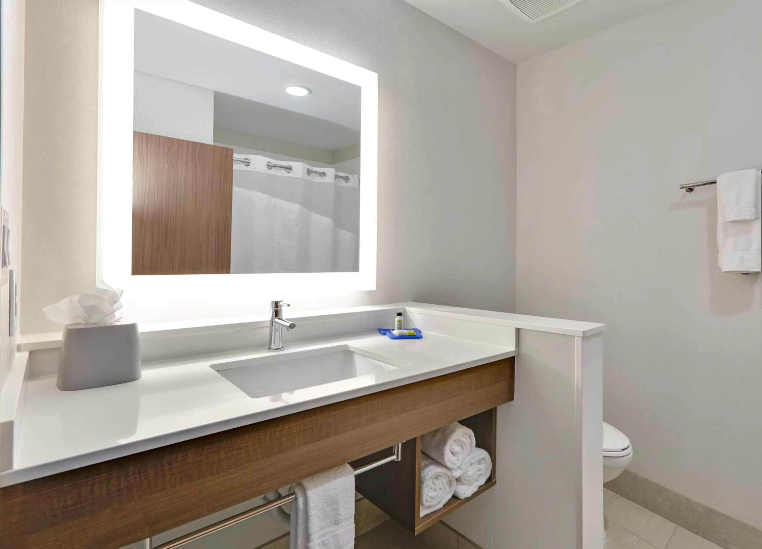 Bathroom in Holiday Inn Express & Suites Fort Worth North - Northlake by IHG