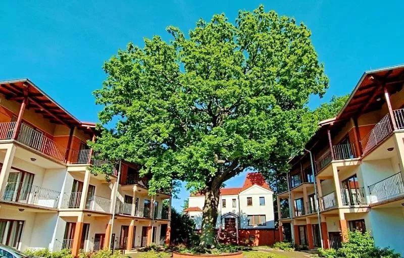 Property building in Rezydencja 5 Dębów