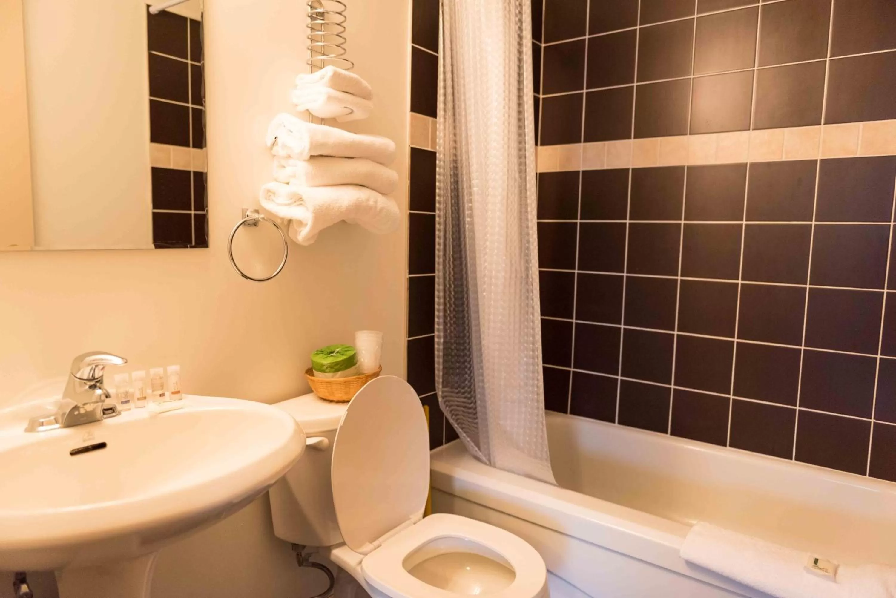 Bathroom in Radium Park Lodge
