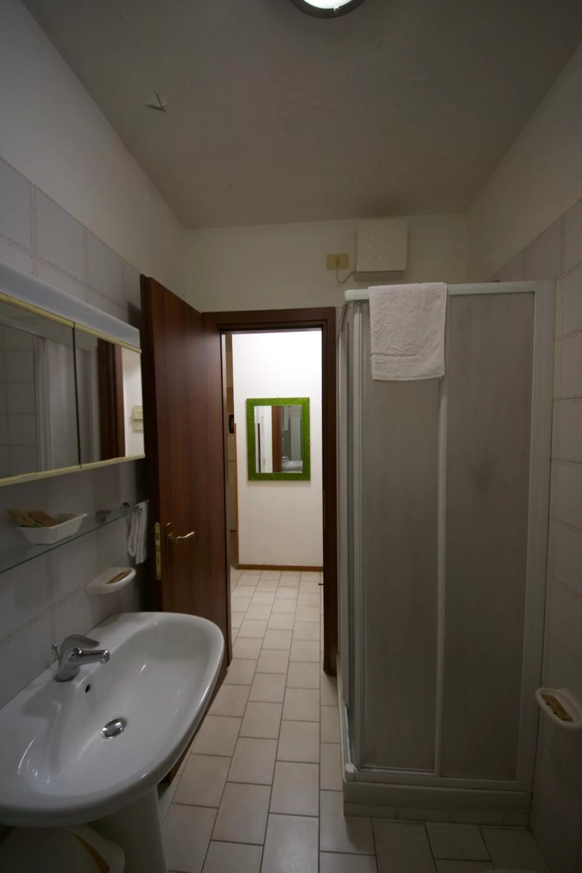 Shower in Parmigianino Apartments