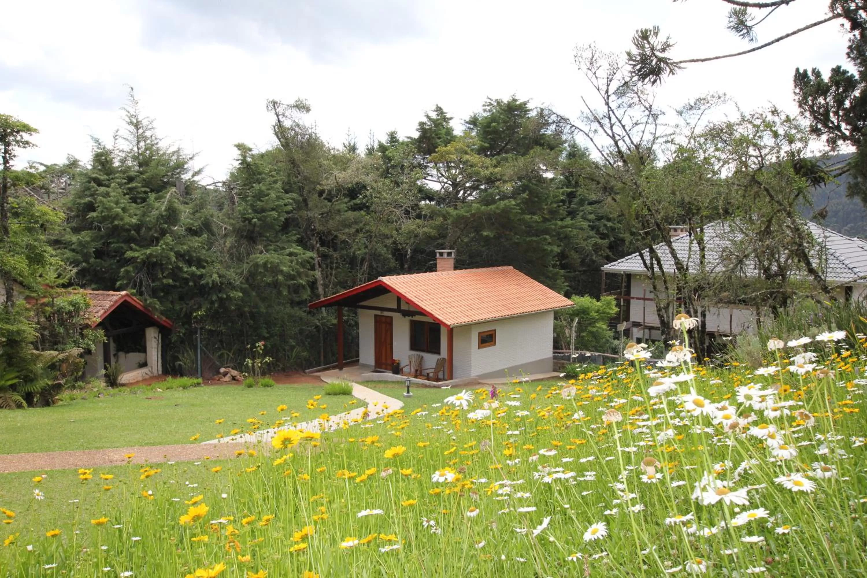 Spring in Pousada Aguia da Montanha