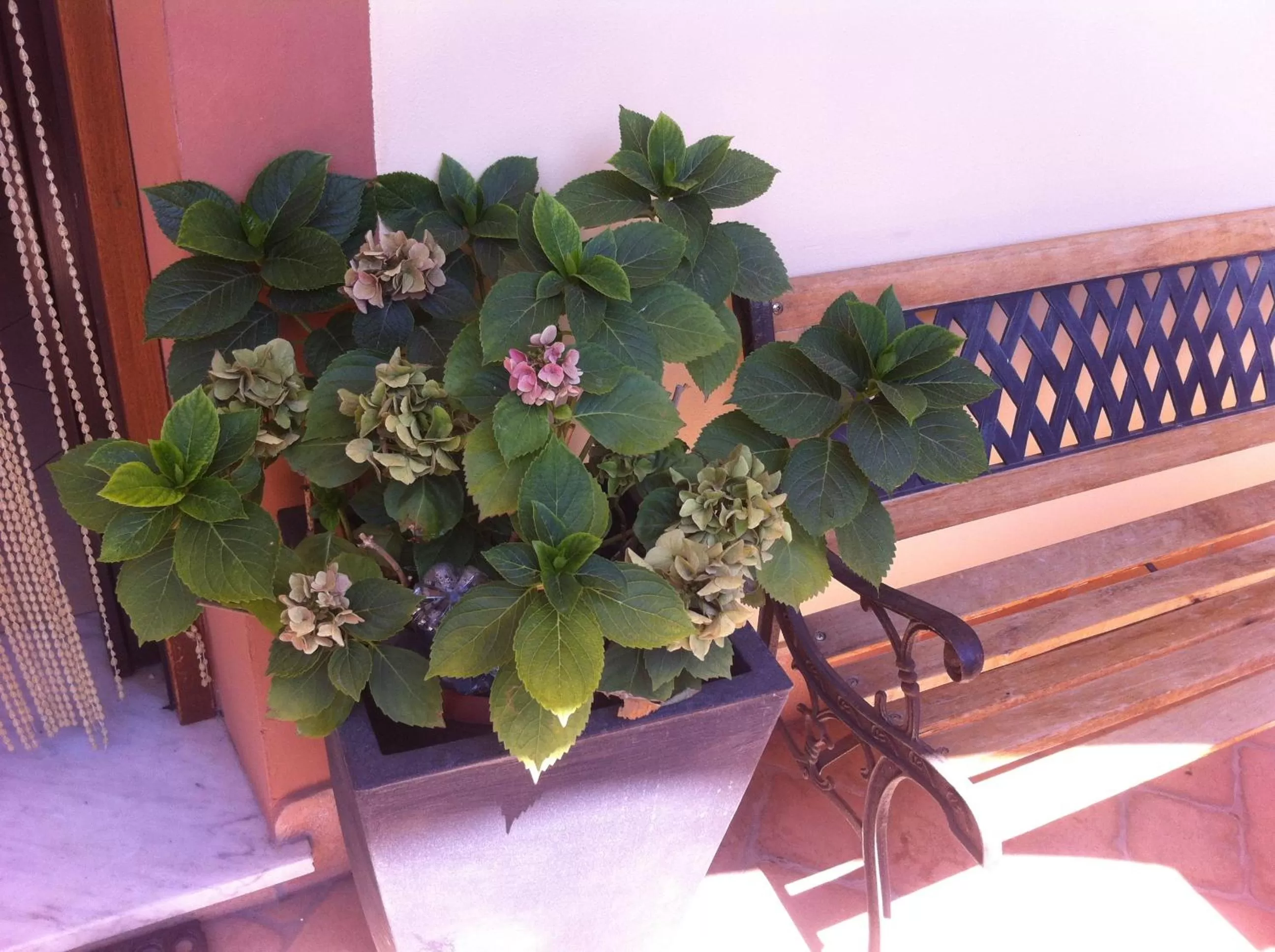 Facade/entrance in Nataly's House Bed&Breakfast