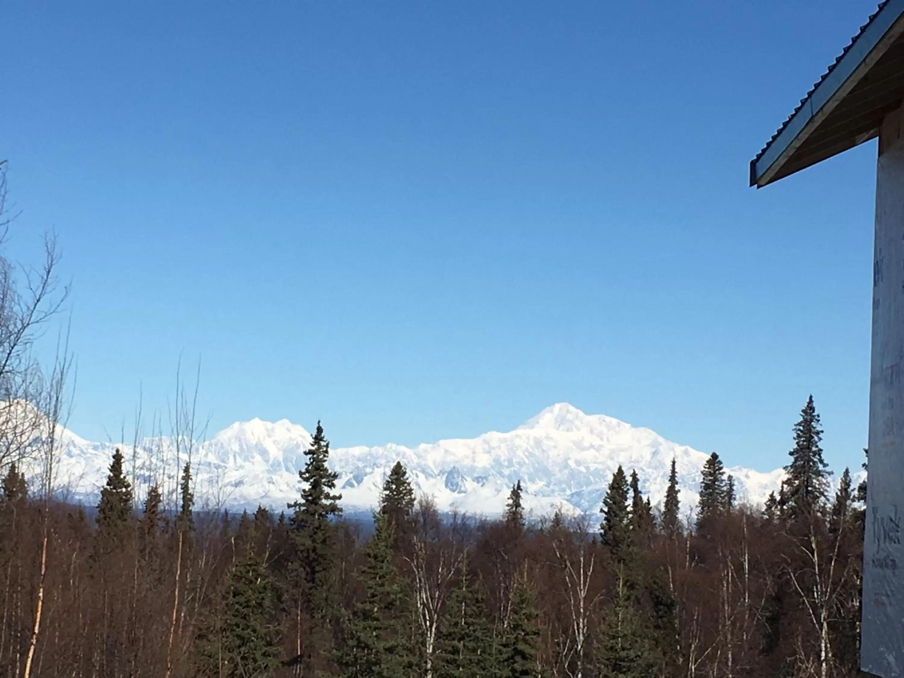 Spring in Grace and Bill's Freedom Hills B&B