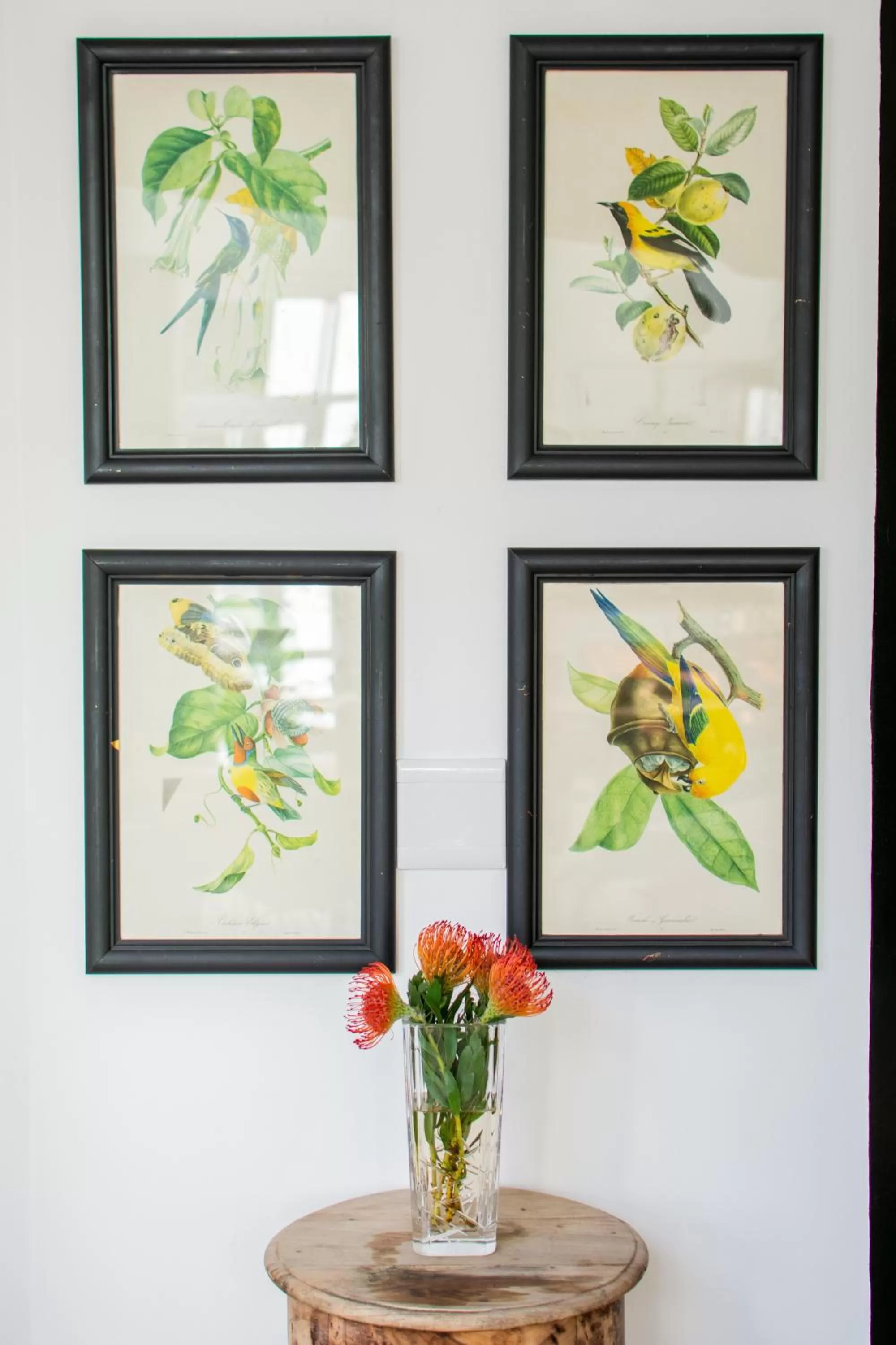 Decorative detail in Vida Nova Retreat