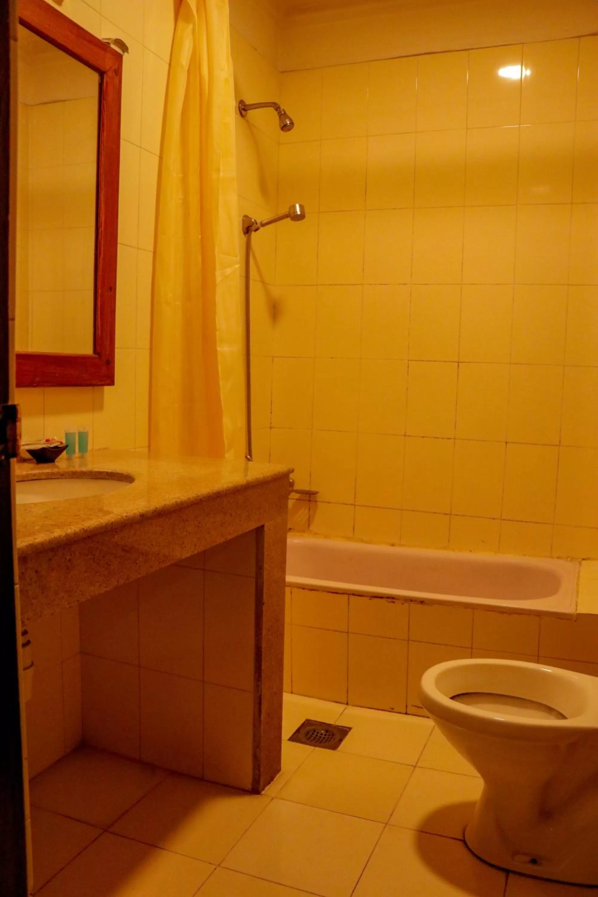 Bathroom in Hotel ThorongLa Thamel