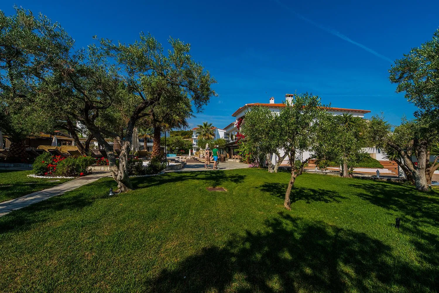 Garden in Flegra Palace