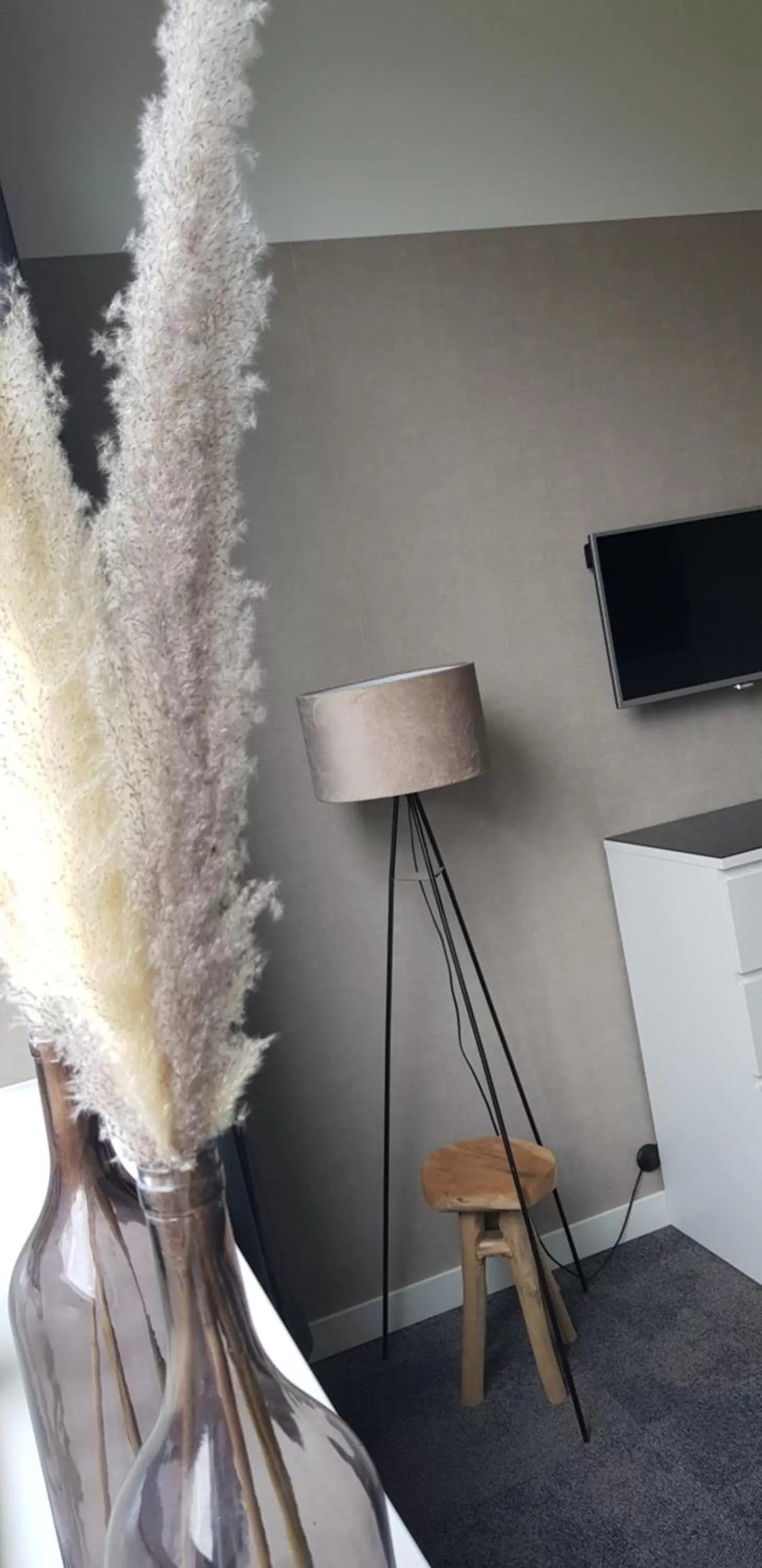 TV/Entertainment Center in B&B de Wilhelminaschool