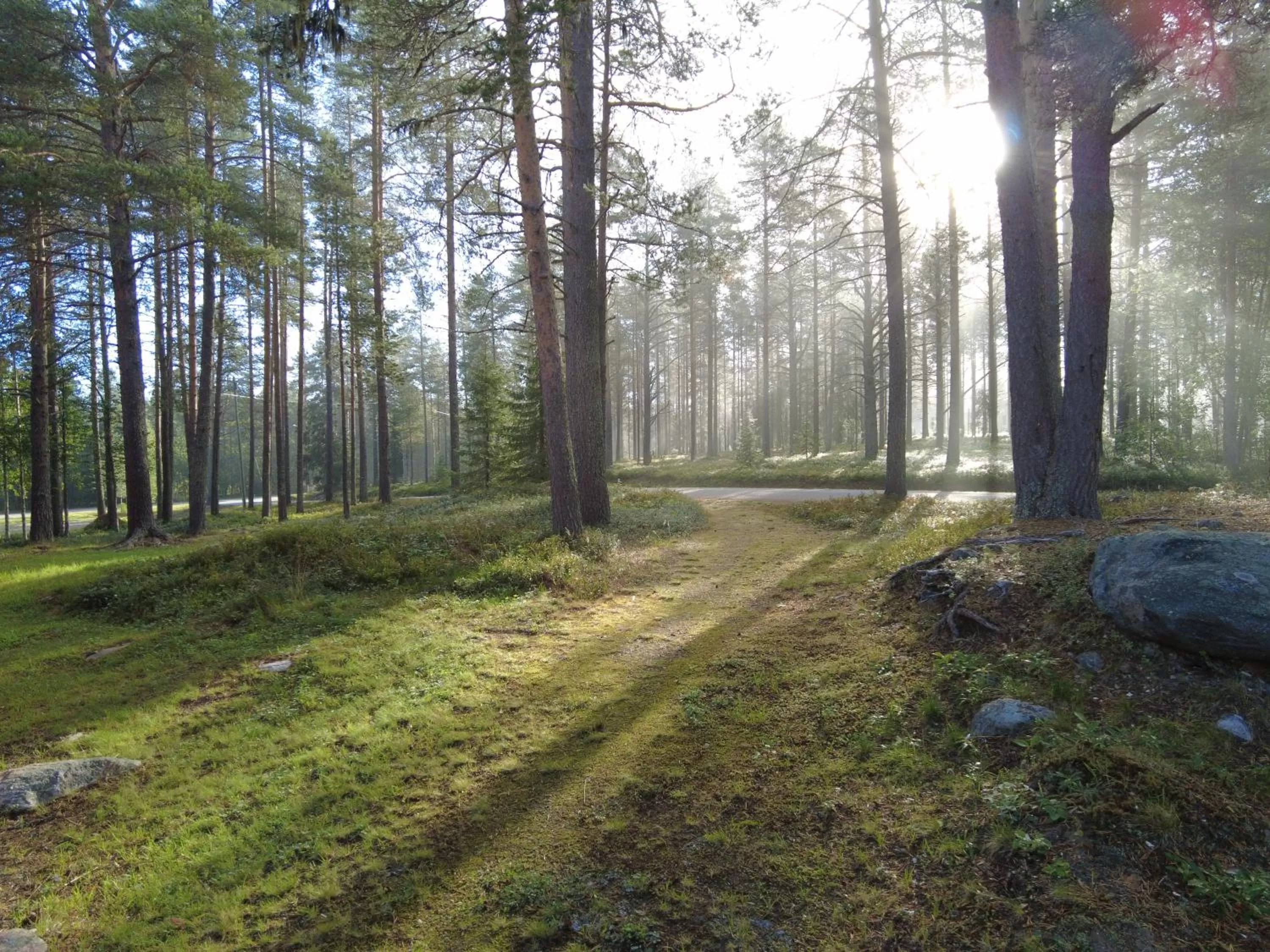 Garden in Lapin Satu