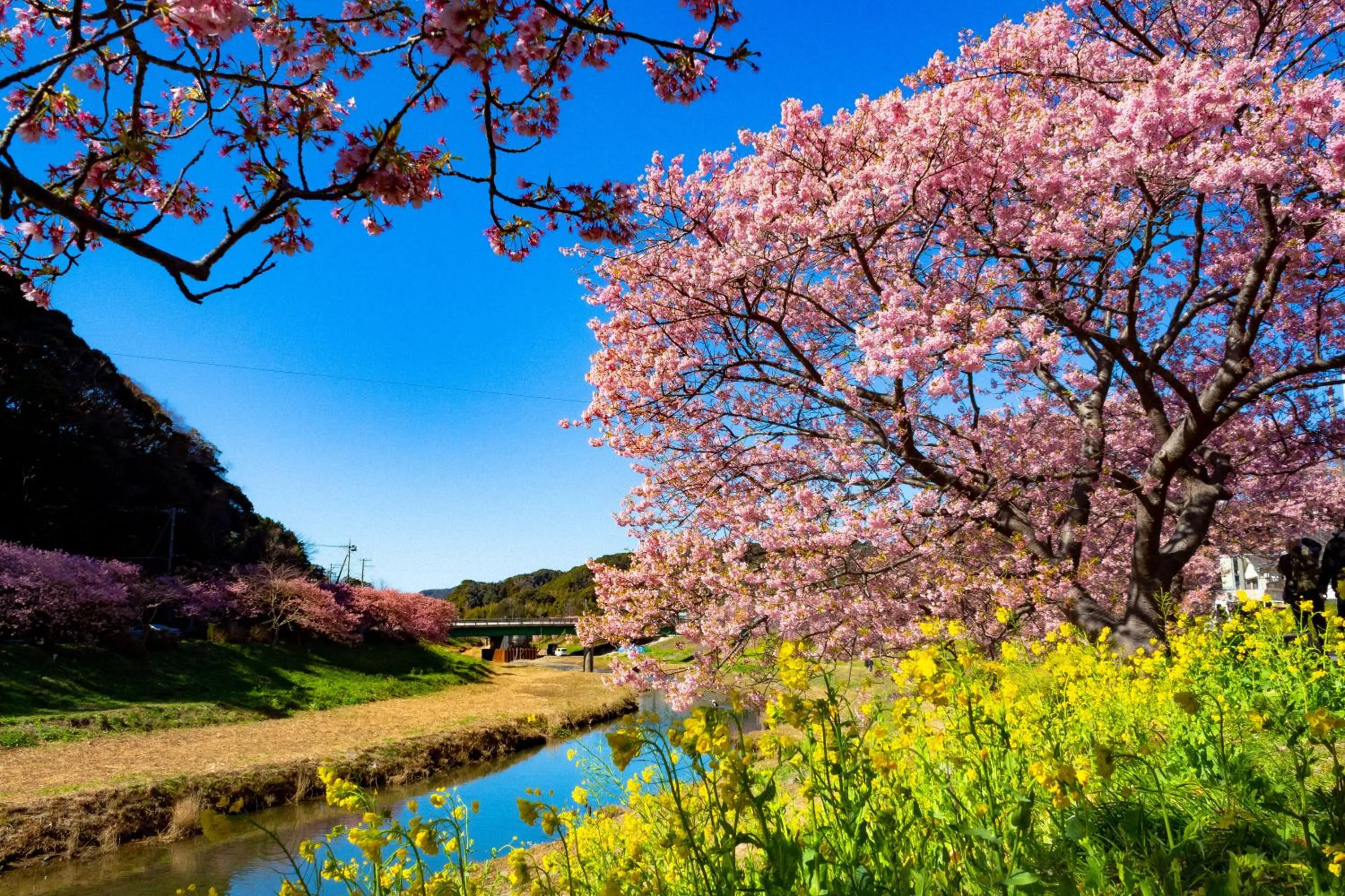 Nearby landmark in Hotel Izukyu