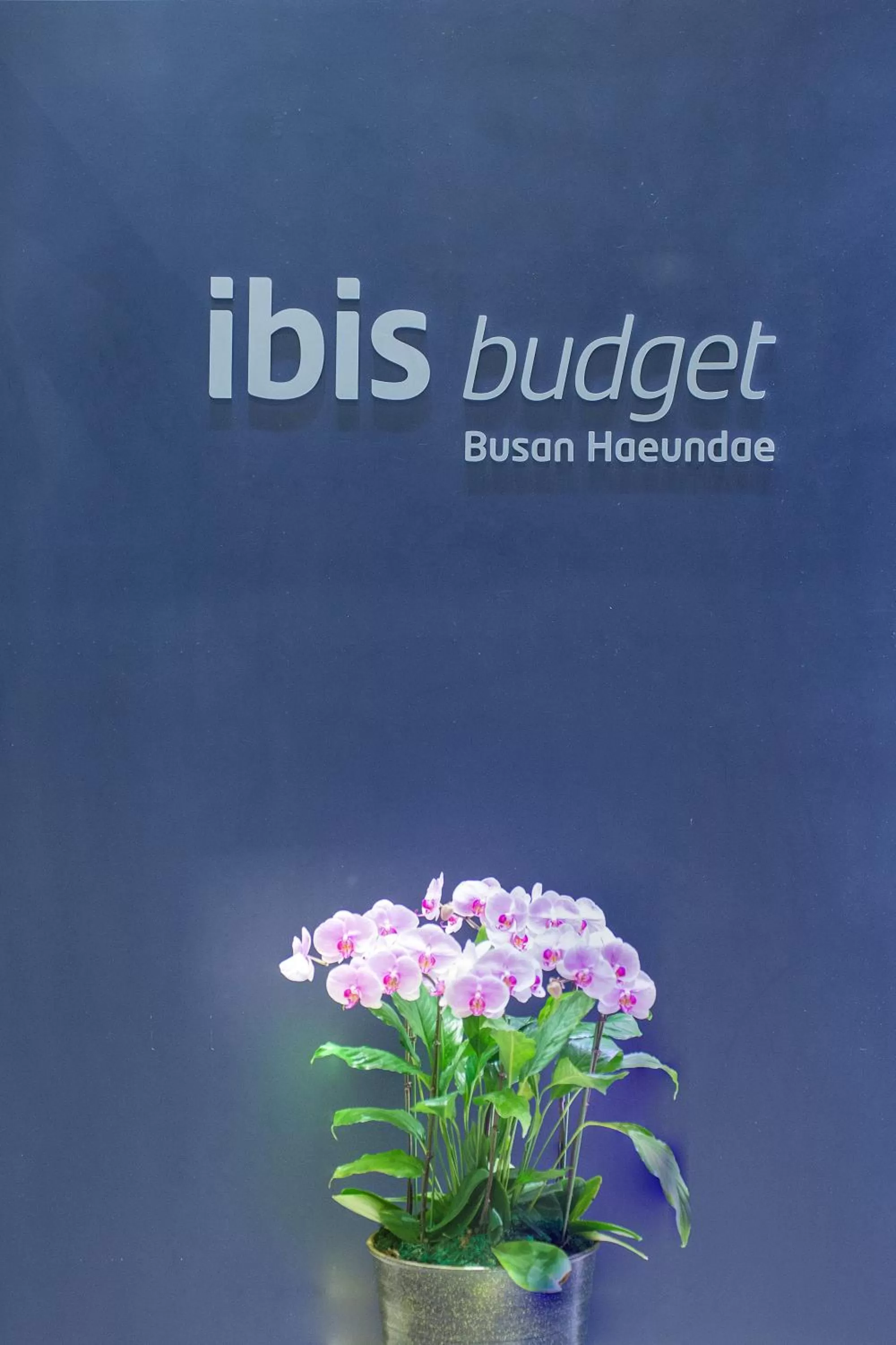 Property logo or sign in ibis budget Ambassador Busan Haeundae