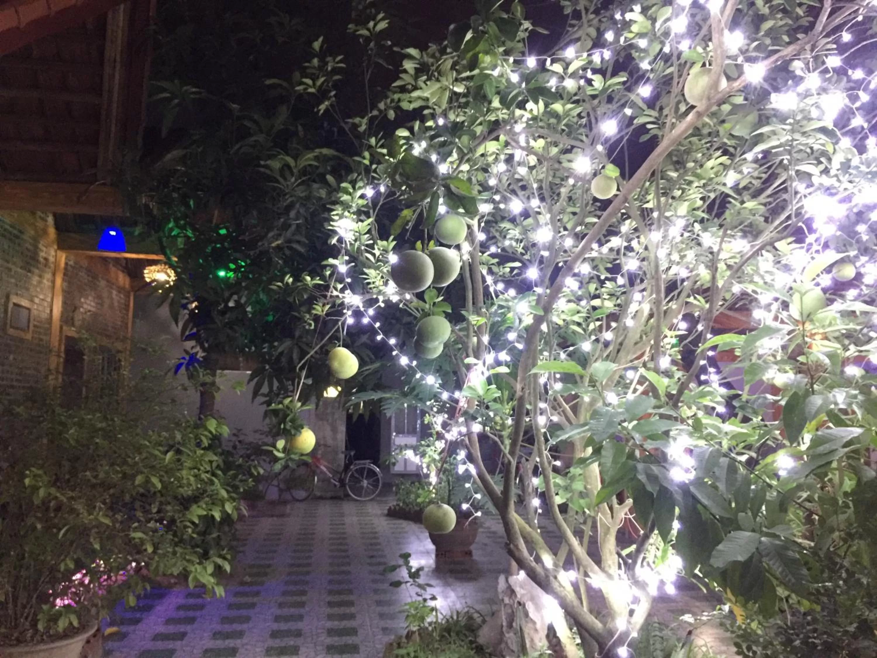 Night in Tam Coc Vinh Thinh Homestay