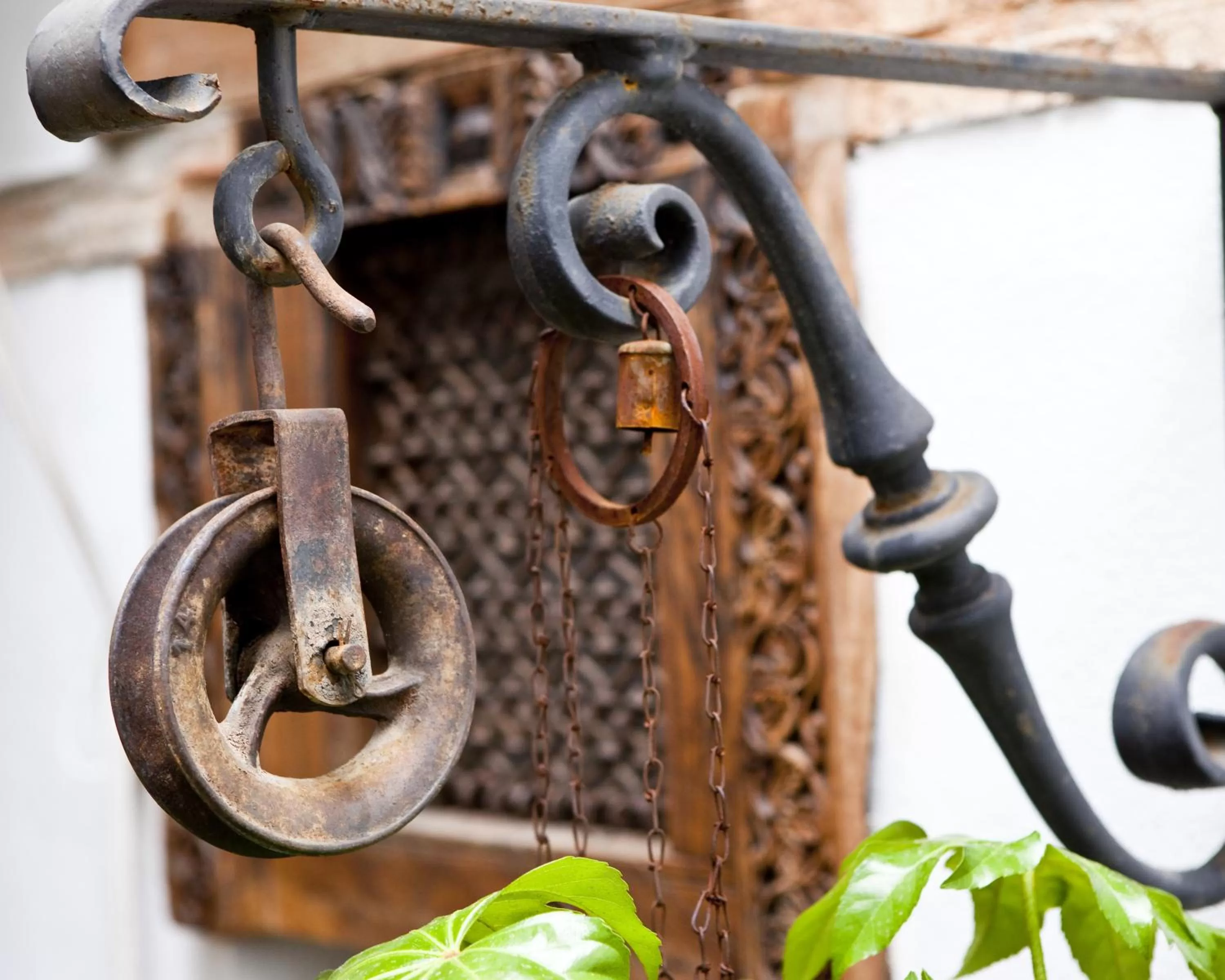 Garden in Hotel Boutique La Morada de Juan de Vargas