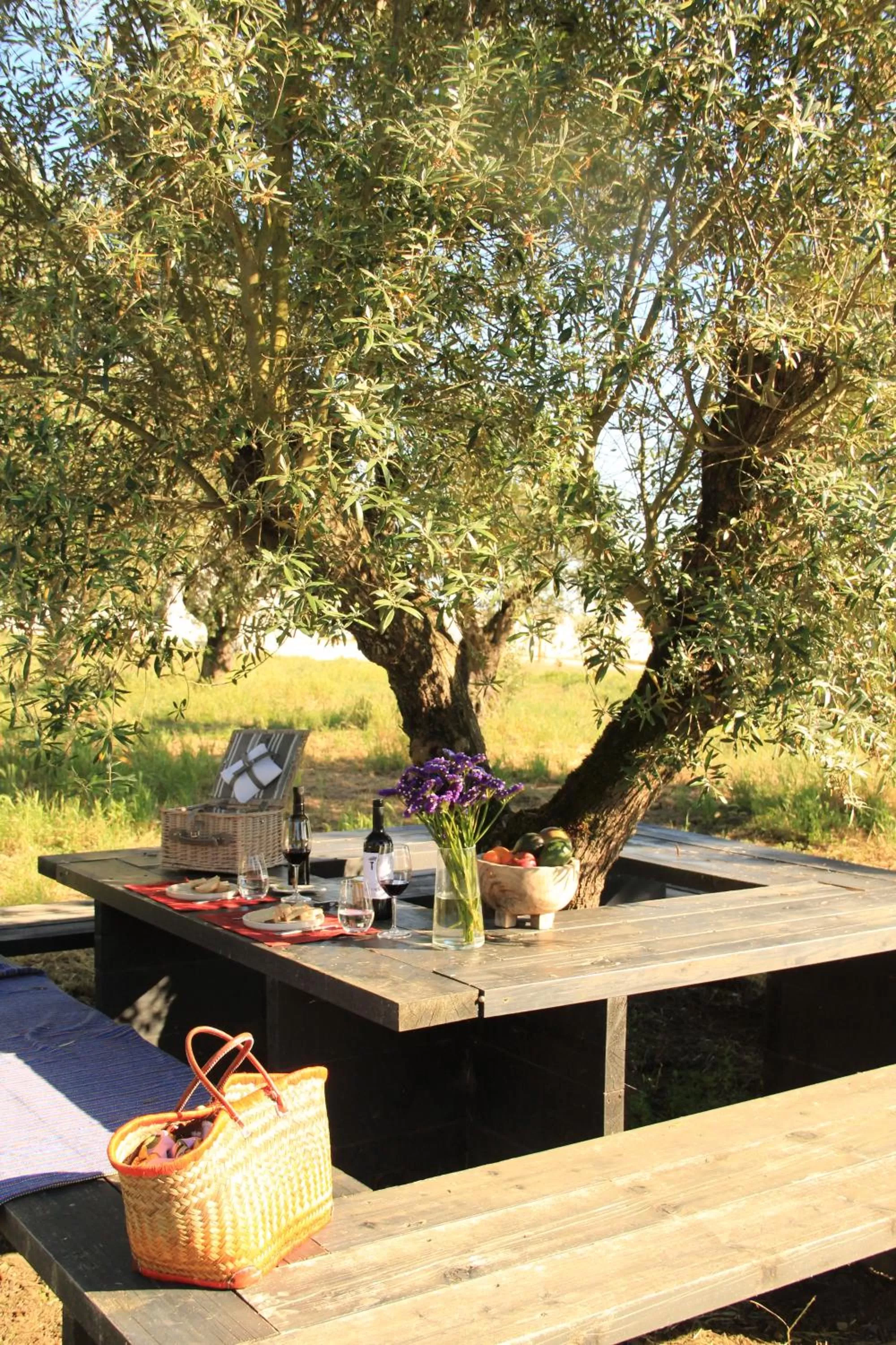 Natural landscape in Torre de Palma Wine Hotel, Monforte, a Member of Design Hotels