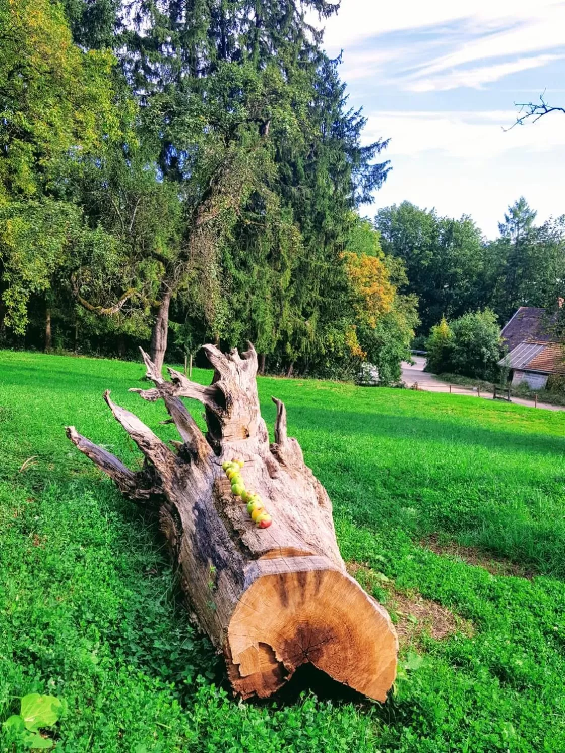 Garden view in Sunhill Appartments, klimatisiert