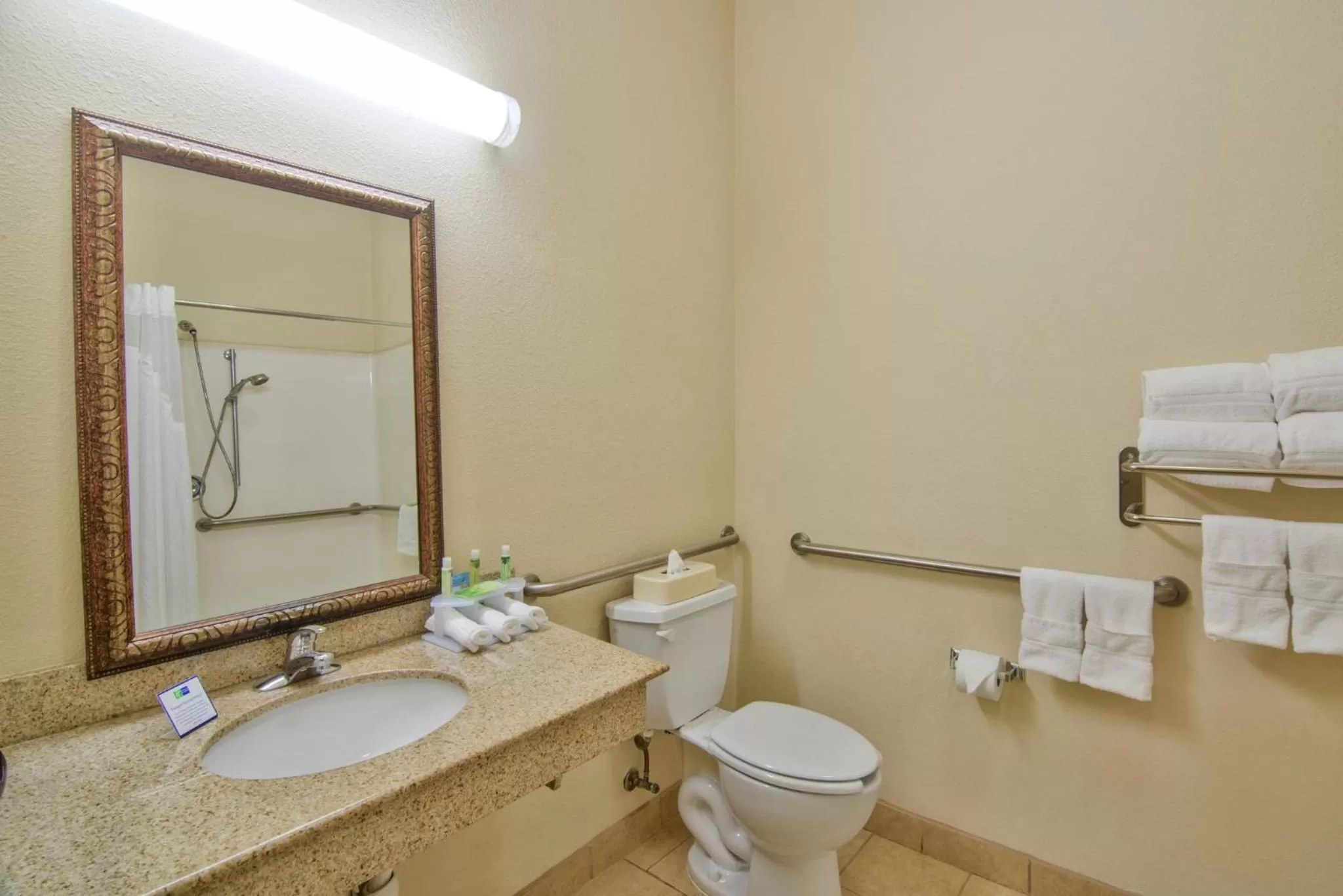 Queen Room with Roll-In Shower - Disability Access - Non-Smoking in Holiday Inn Express Hotel & Suites Terrell, an IHG Hotel