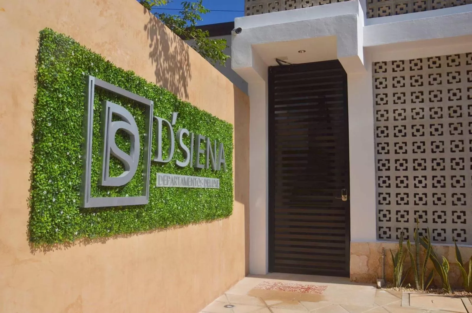 Apartamentos Dsiena Valladolid