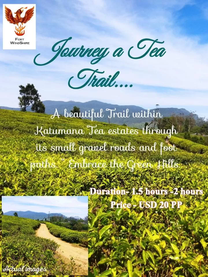 Activities in Fort WindShire