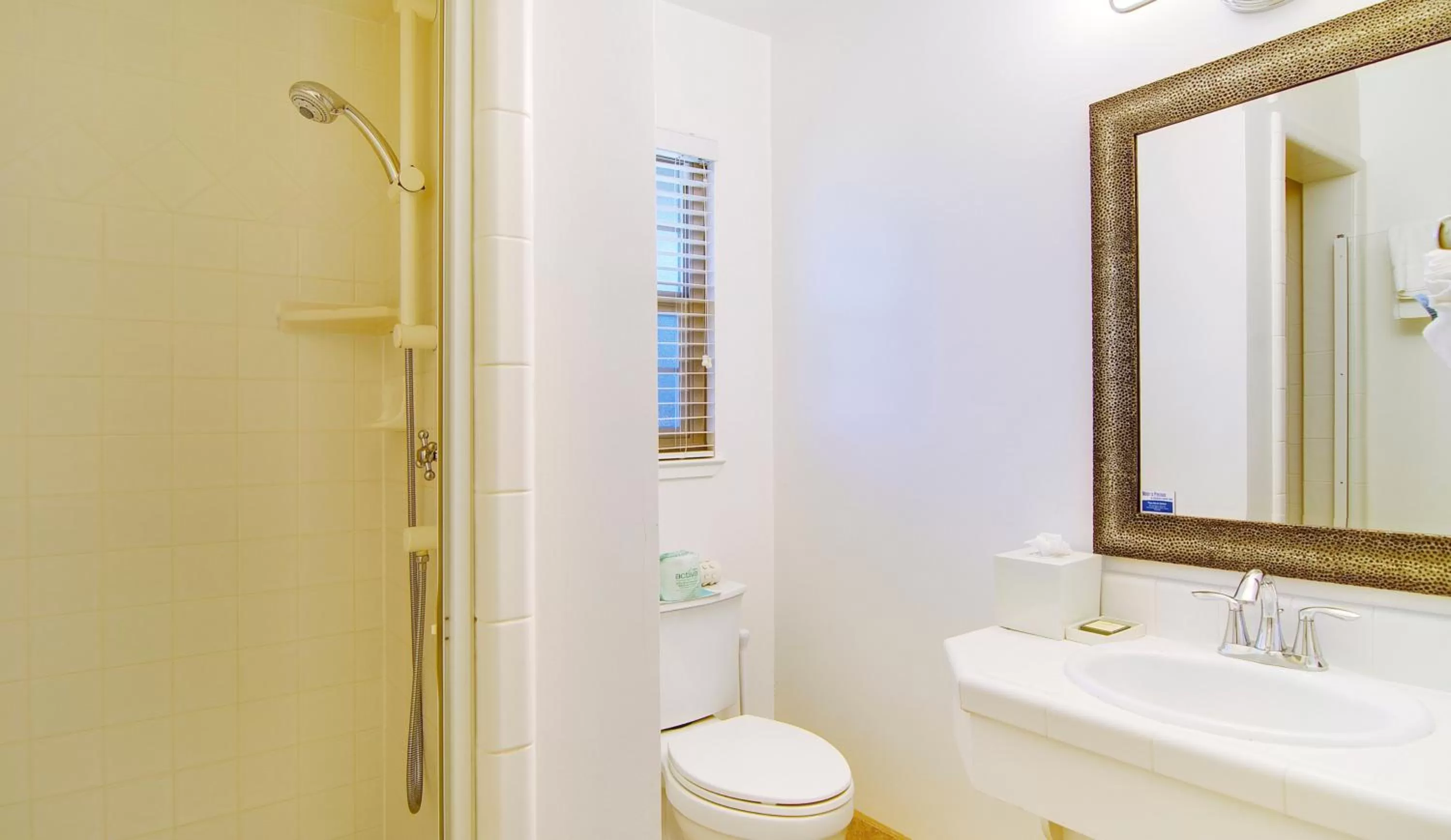 Shower in Svendsgaard's Inn