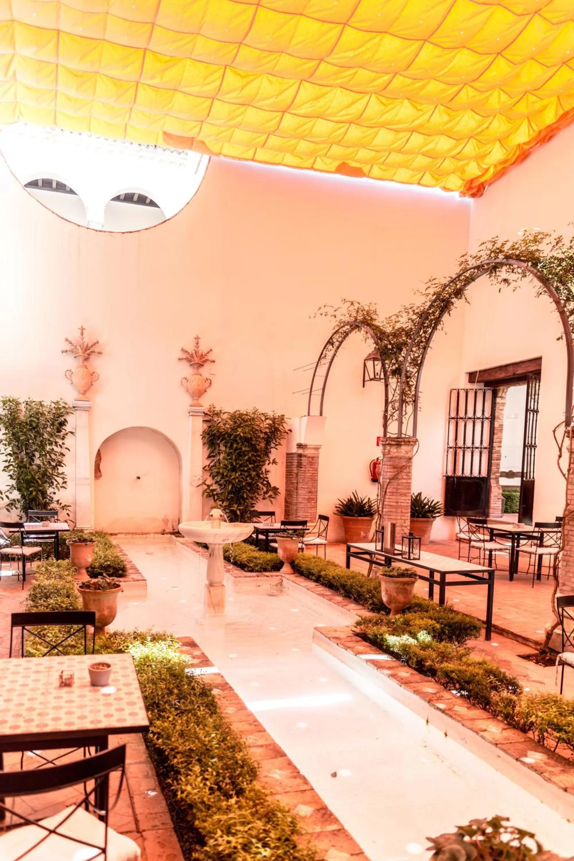 Food and drinks in Las Casas de la Judería de Córdoba