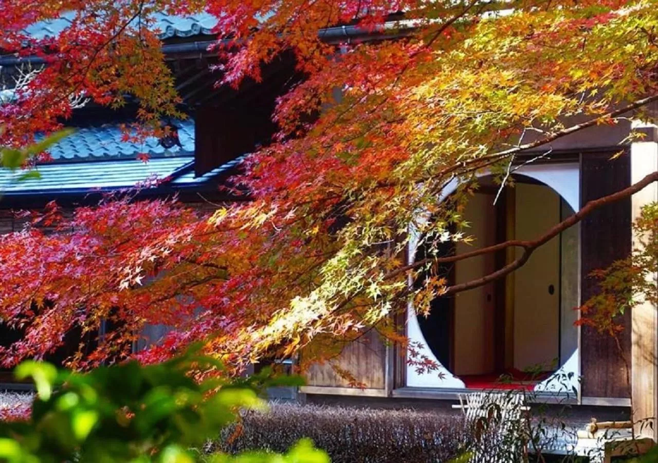 Autumn in WeBase KAMAKURA