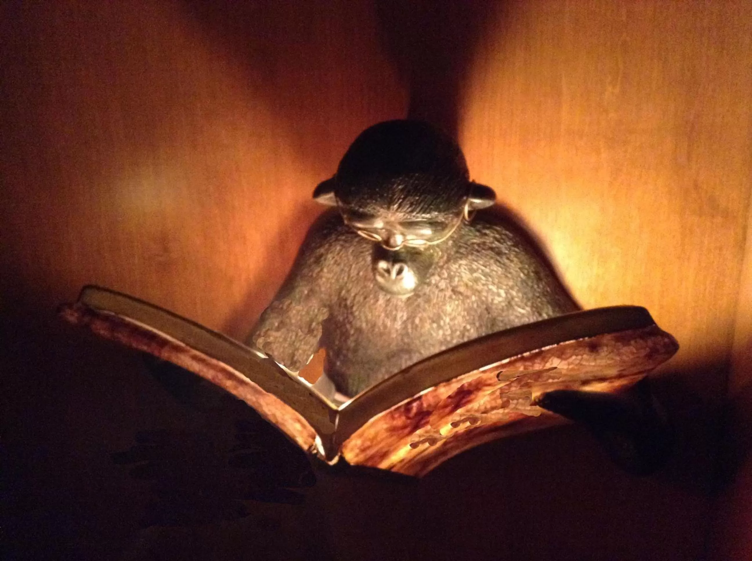 Restaurant/places to eat in Hotel Elysee by Library Hotel Collection