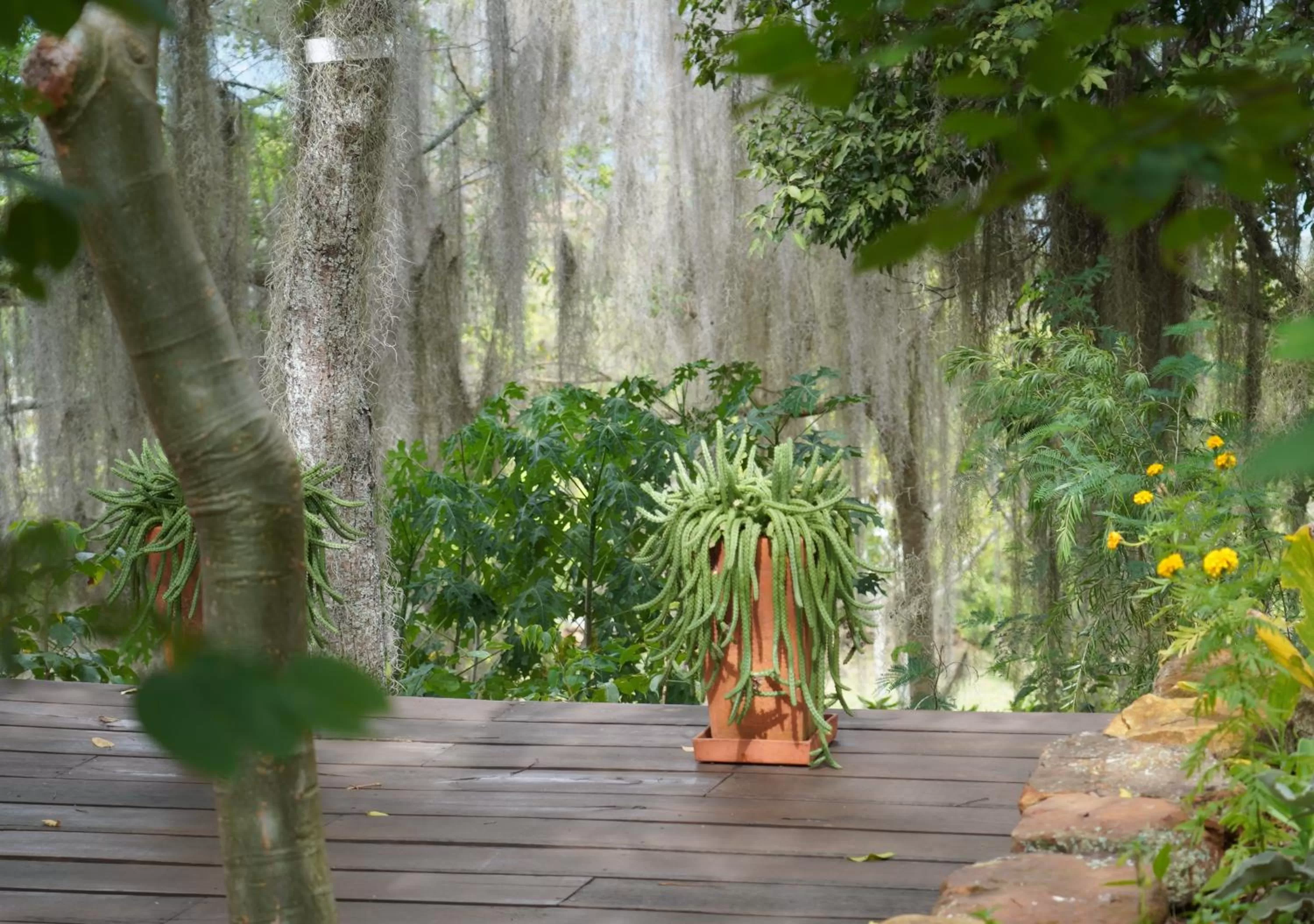 Garden in Posada Finca San Vicente B&B