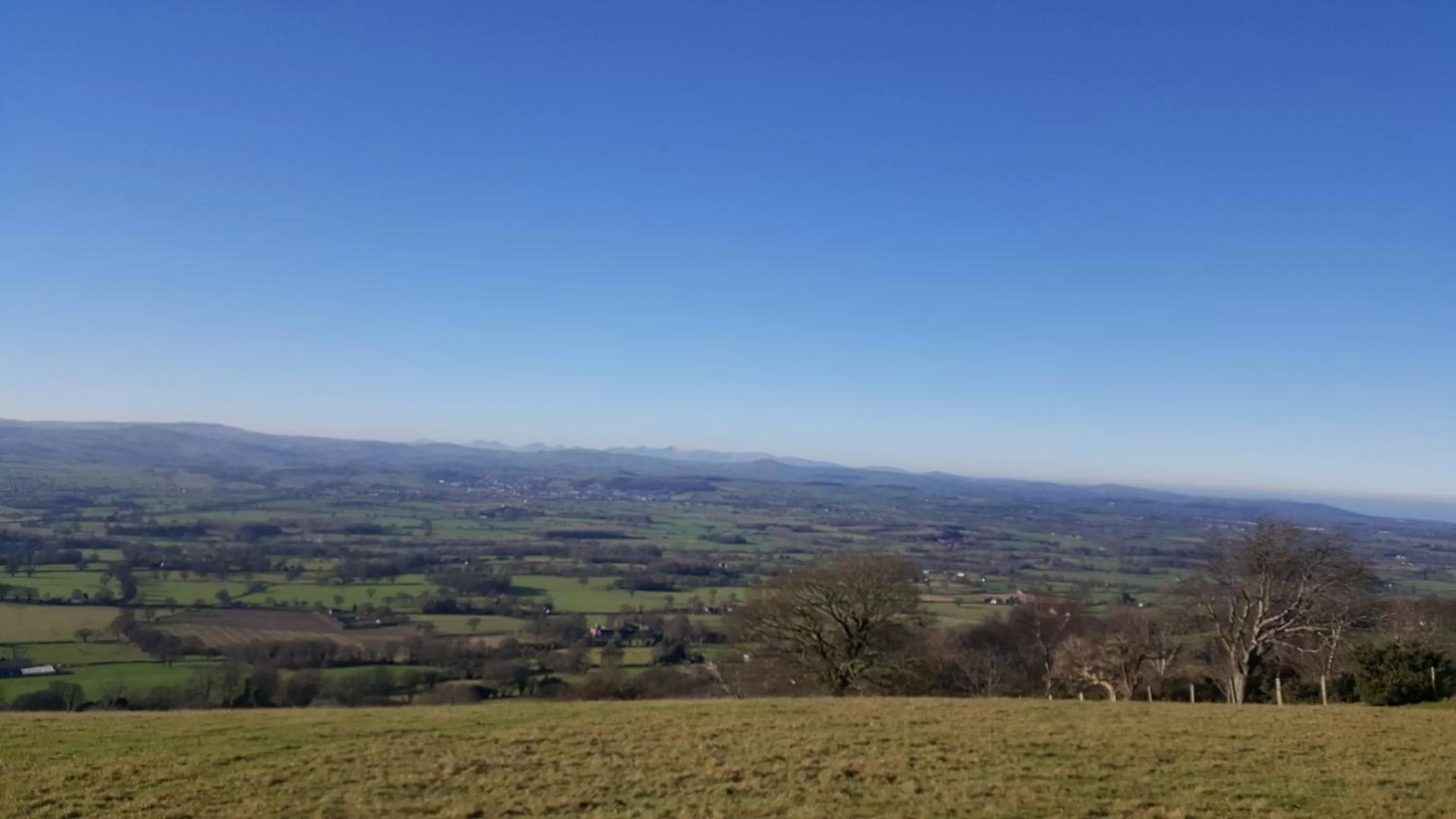 Natural landscape in Tall Trees