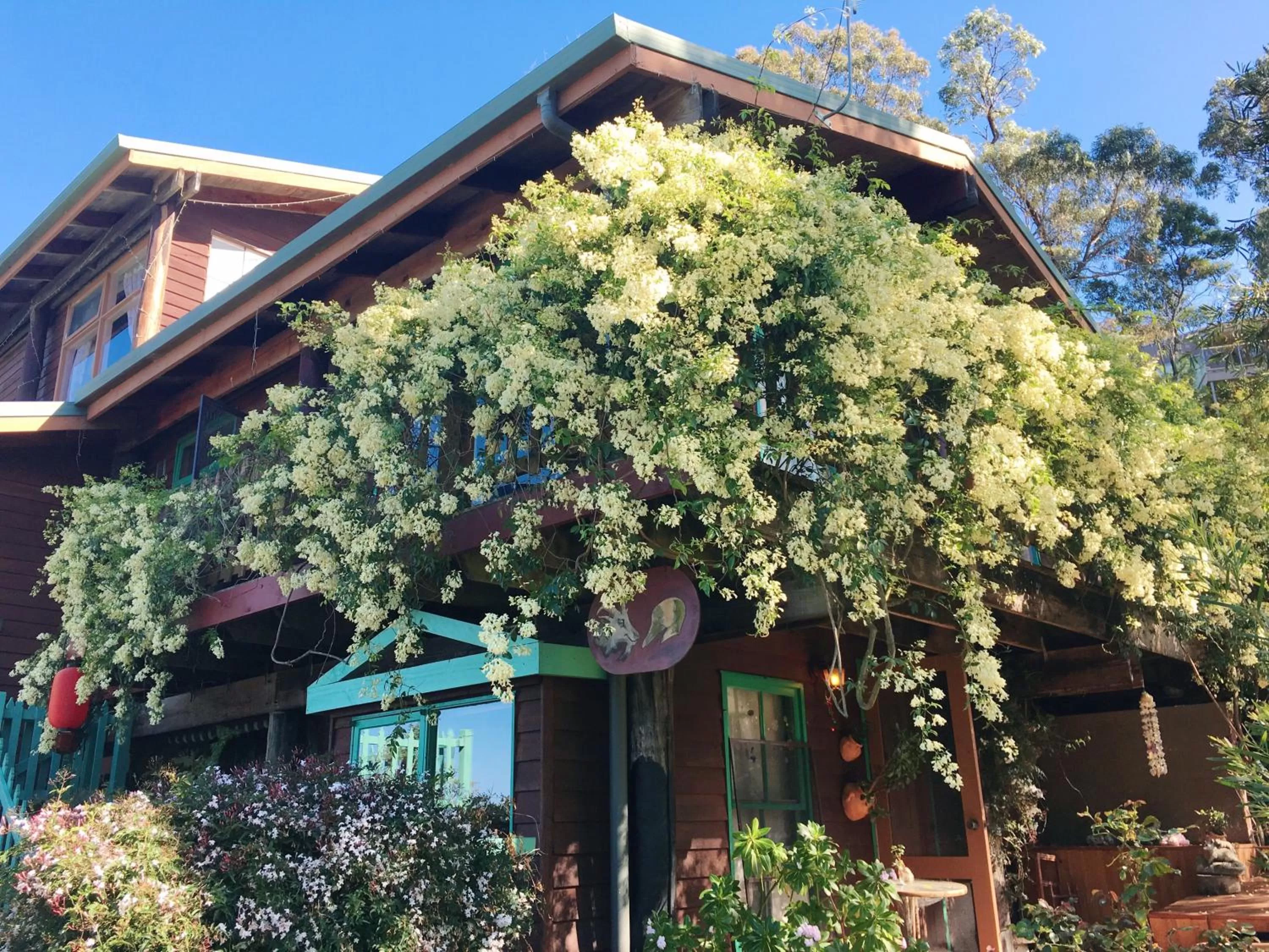 Garden in The Goat and Goose Bed & Breakfast
