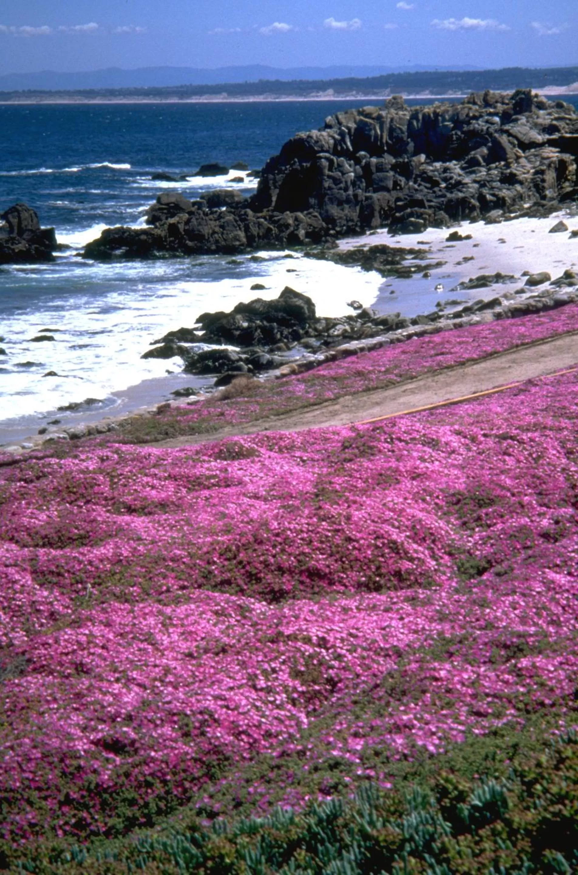 Area and facilities in Spindrift Inn