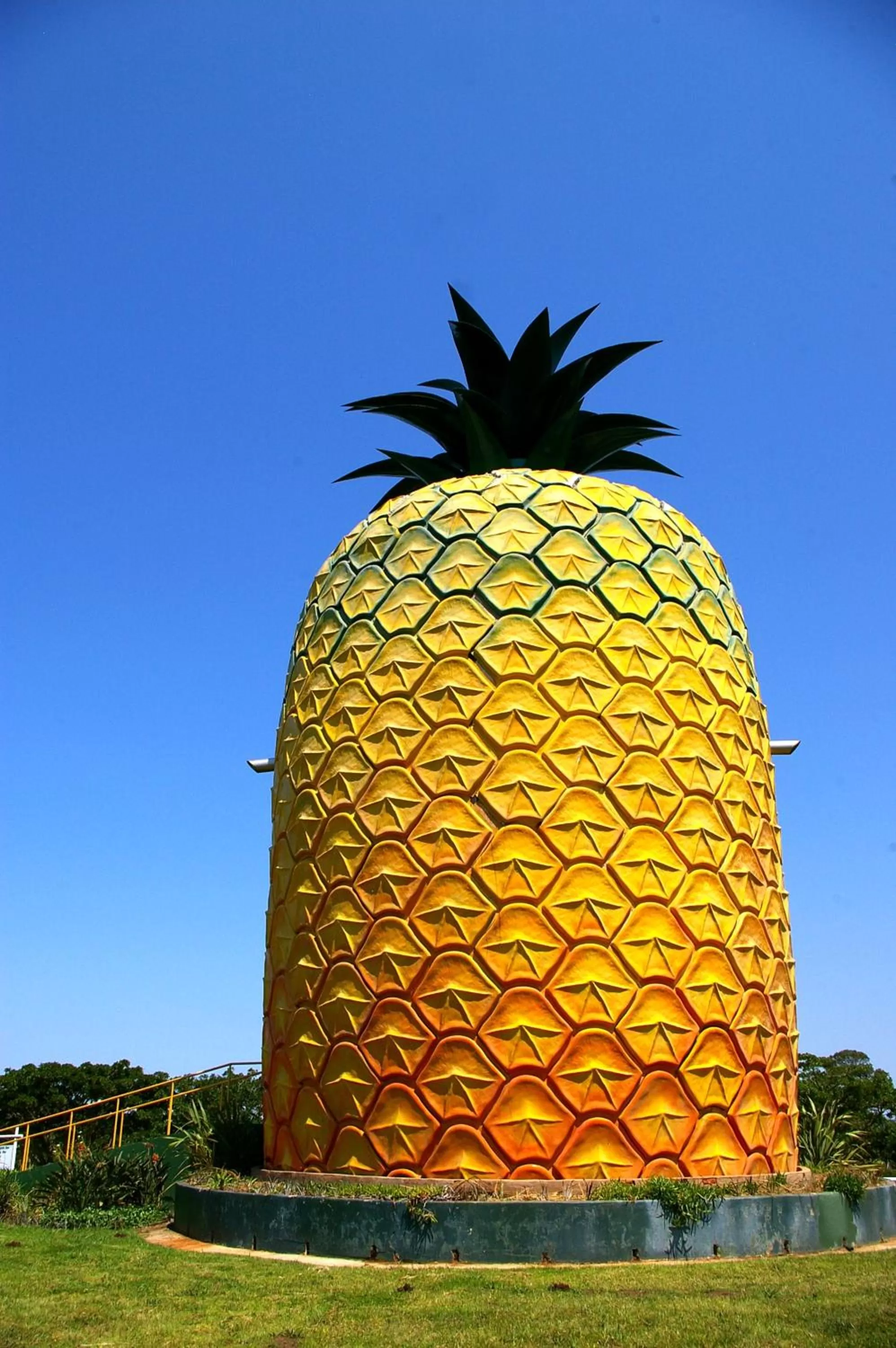 Property Building in Tertia's Logcabin