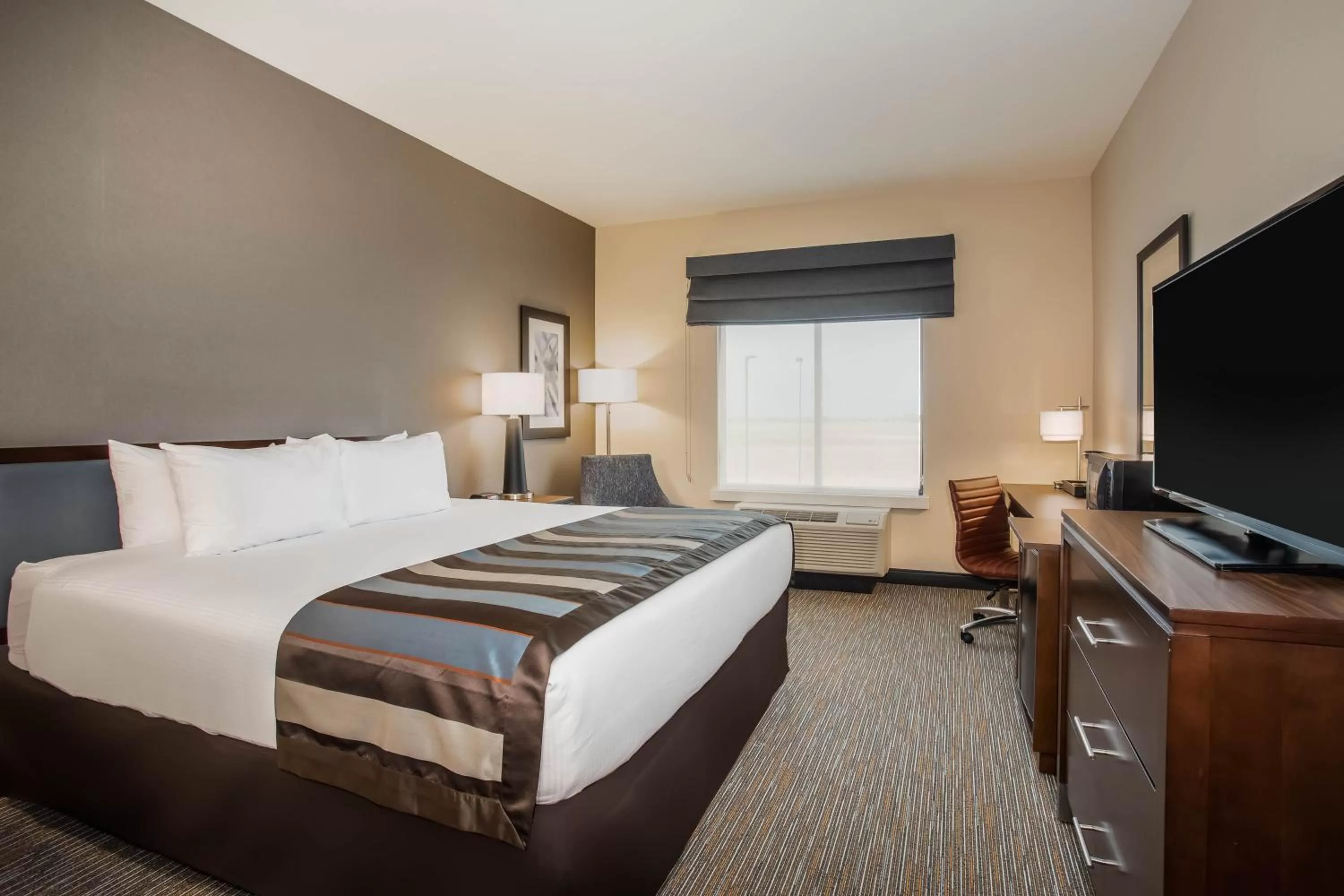TV and multimedia, Bed in Wingate by Wyndham Denver Airport