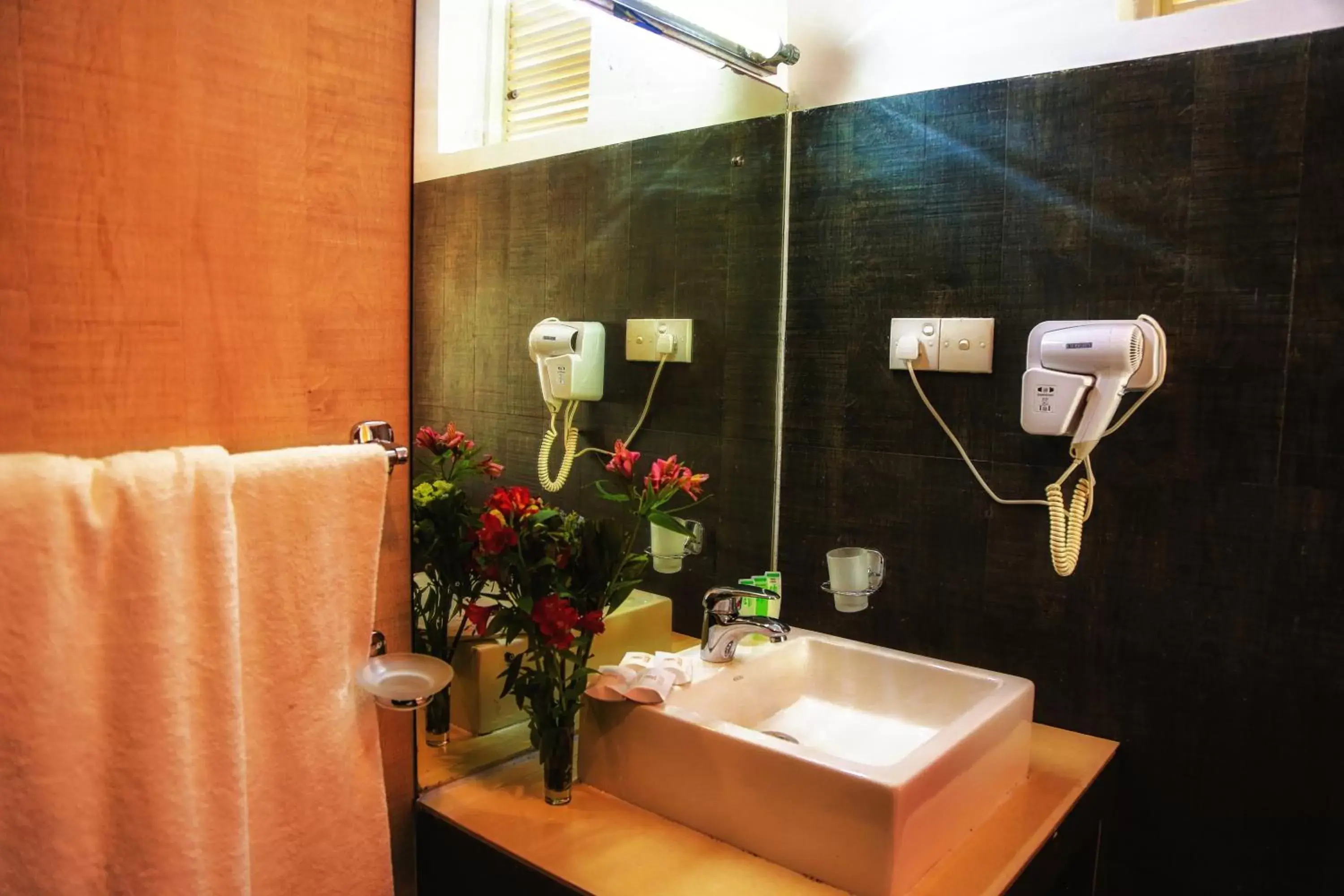 Oak Ray Summer Hill Breeze Oak Ray Summer Hill Breeze