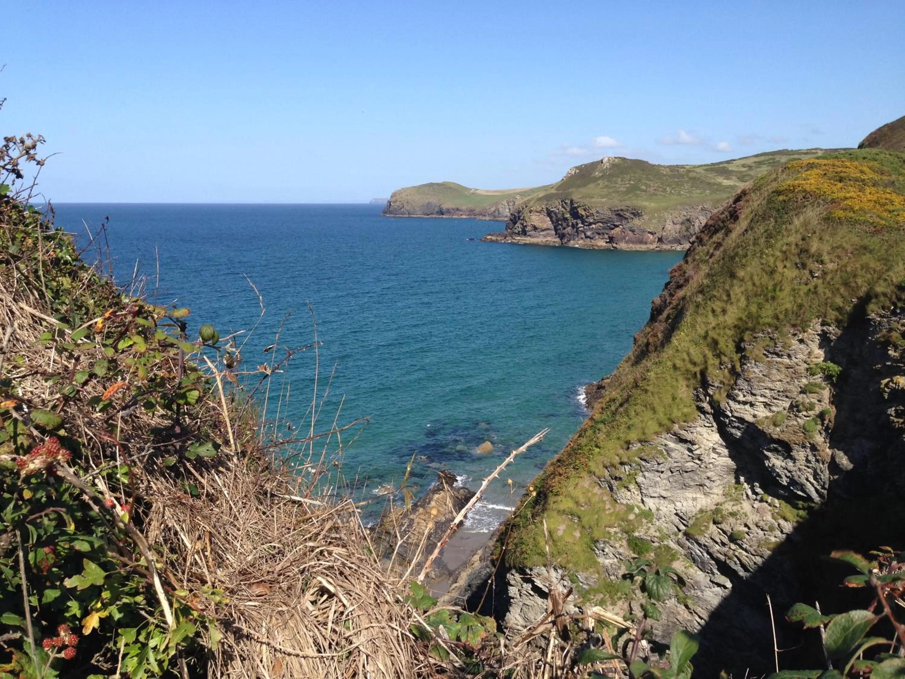 Natural landscape in Treweens