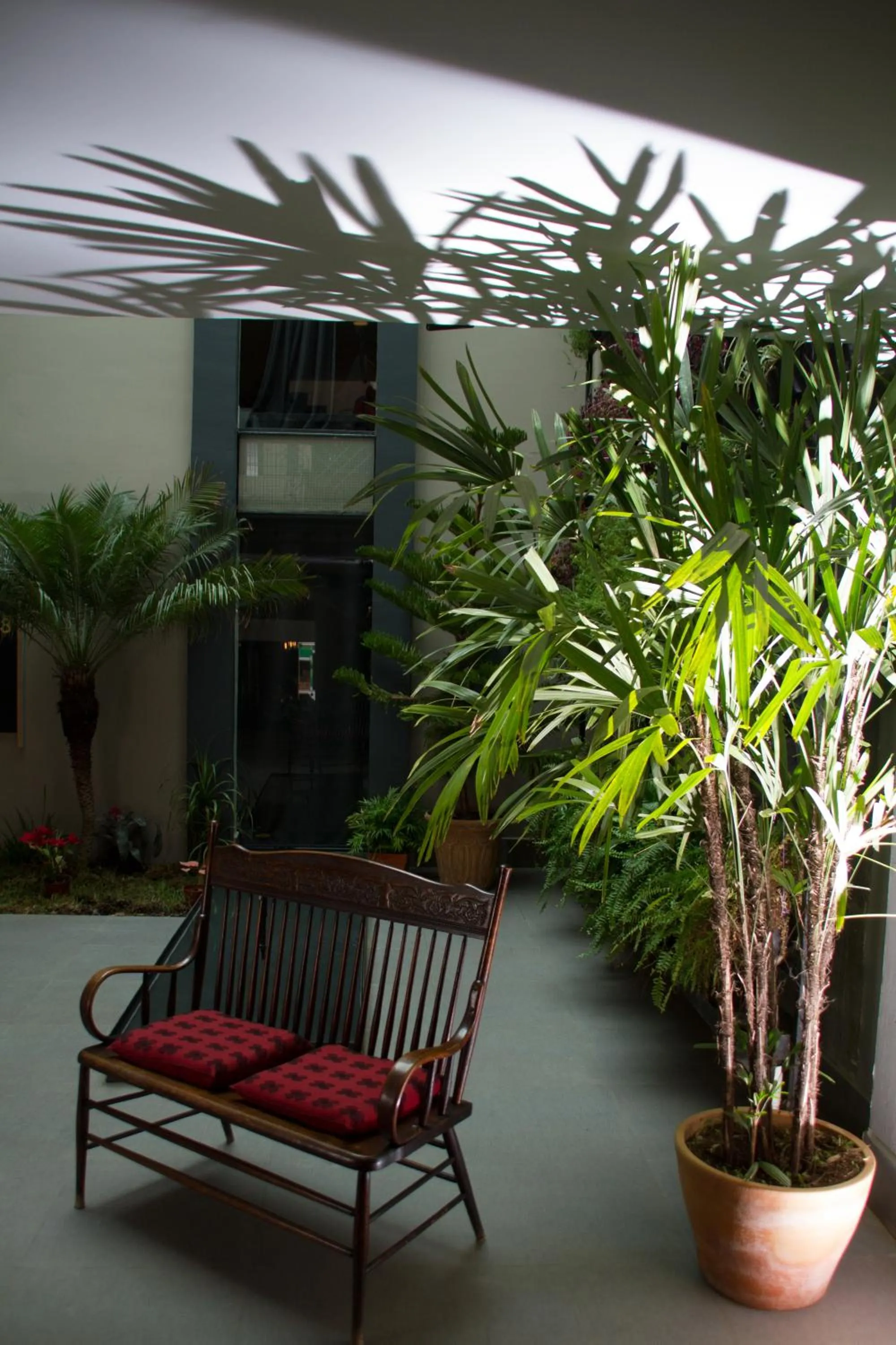 Patio in Hotel Helverica