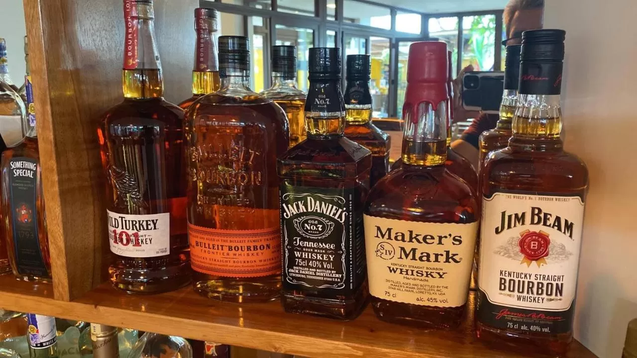 Lounge or bar in Hotel La Isla