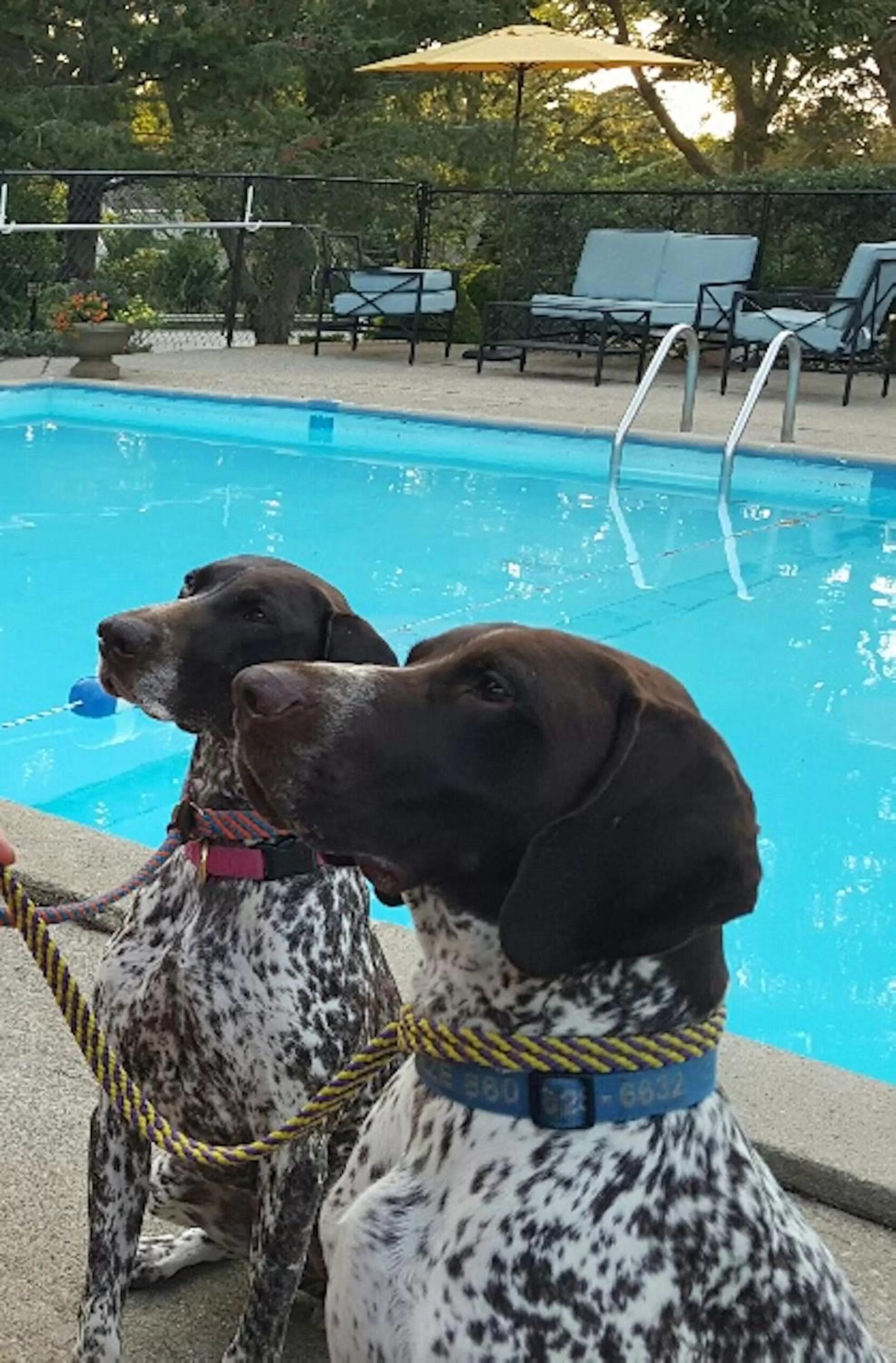 Property building in Starlight Lodge Cape Cod