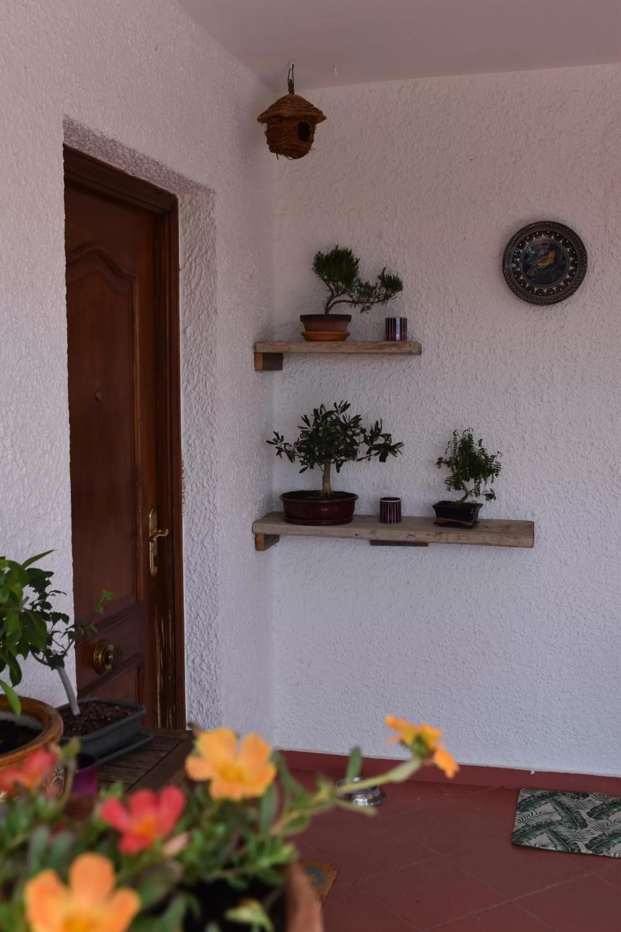 Property building in Casa Loro Loco B&B