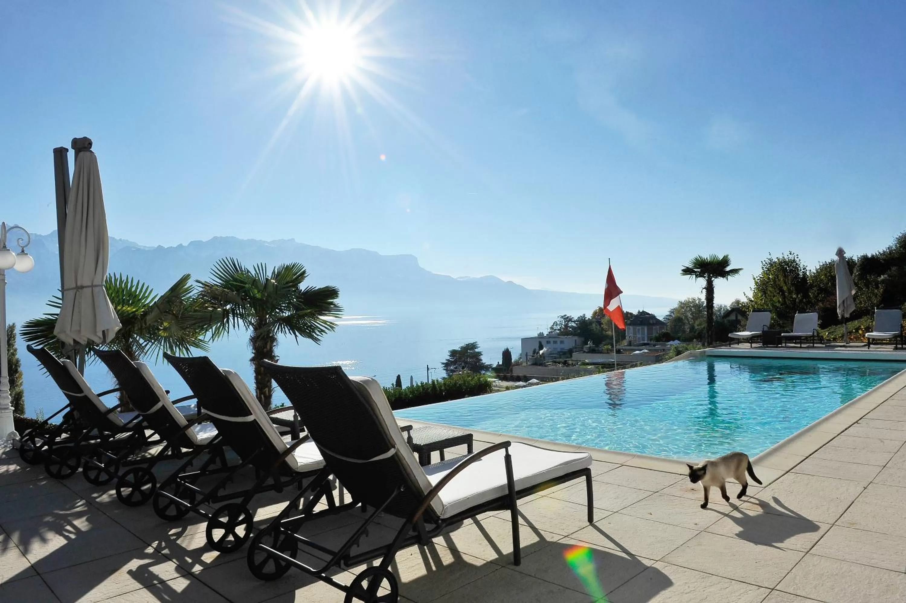 View (from property/room), Swimming Pool in B&B Corseaux Beach & Riviera Beach