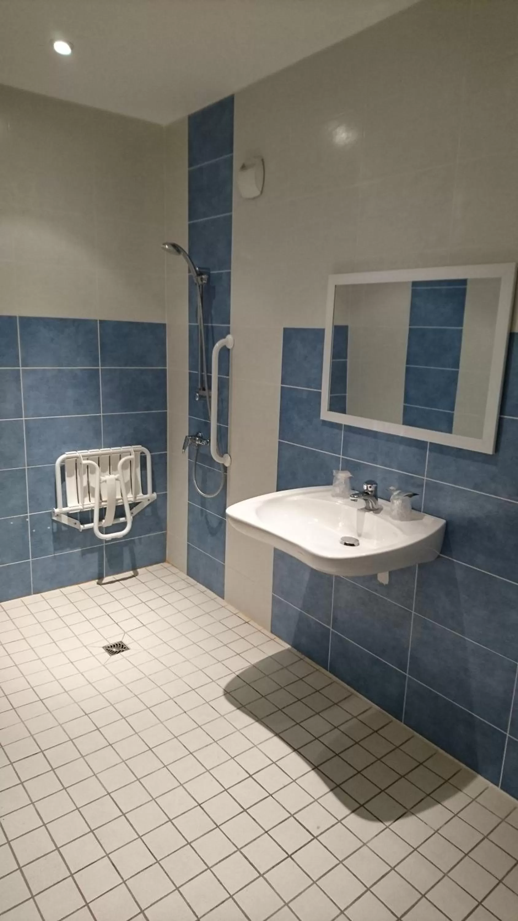 Shower in Kyriad Toulouse Sud - Roques