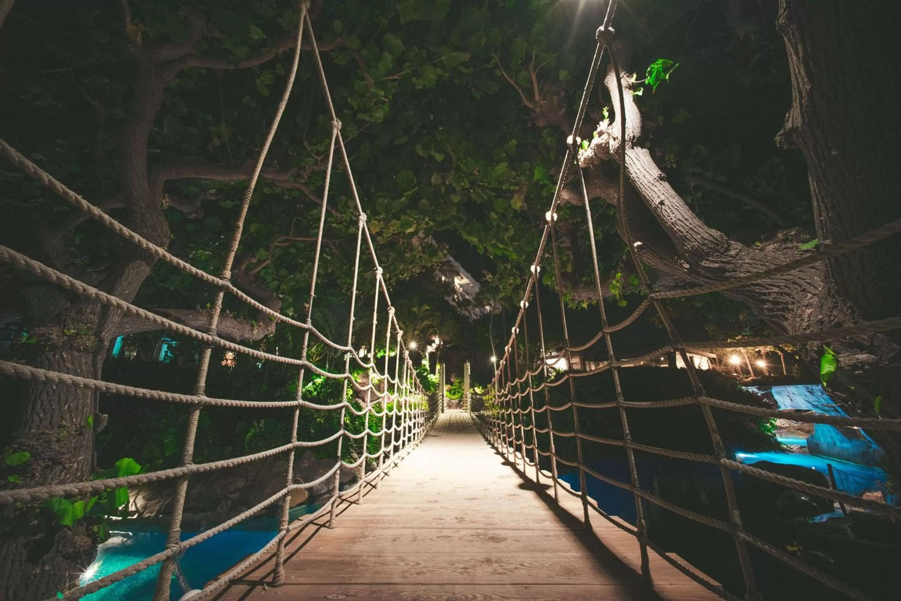 Night in Hyatt Regency Maui Resort & Spa